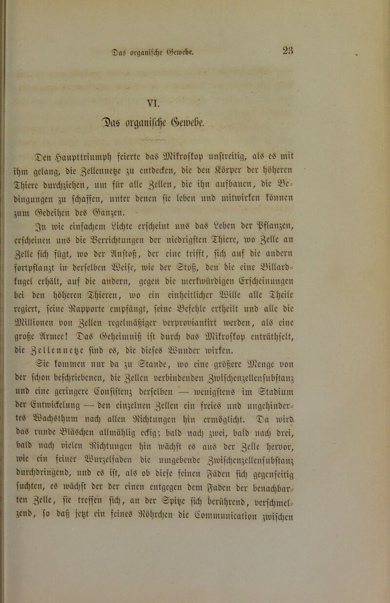 ©n$ organifdje ©ewe&e. VI. * %\*> orgmtifdjc (äeiueße. - £>en ^aupttriumpt) feierte bad SOiifvoffop uuftreitig, atd ed mit it)m gelang, bie 3ettennefce ’,u entbeefen, bie ben Körper ber höheren £f)iere bitrrfj^iefjen, um für eitle 3etfen, btc it)n aufbauen, bie binguugeu 511 fei)affen, unter beneu fie leben nnb mitmirfen tönnen jum ©ebenen bed ©anjen. 3u mie cinfad)ent öidjte erfdjeiitt und bad ßebeit ber ^flanjen, erfdjeinen und bie 33erricf)tungen ber niebrigften Üt)icrc, mo 3ettc au 3ctie fid) fügt, mo ber Slnftoß, ber eine trifft, fid) auf bie anberu fortpftanjt in berfetbeu Seife, mie ber Stoß, beit bie eine 33it(arb= fuget ertjätt, auf bie anberu, gegen bie mcrf'mürbigen Srfdjeiuungen bei ben t)öt)ereu gieren, mo ein einheitlicher Sitte atte £t)eitc regiert, feine Rapporte empfängt, feine befehle ertßeitt unb atte bie DJtittionen non 3etten regelmäßiger oerproüiantirt merben, atd eine große Strntee! üDad ©eheintniß ift bitrd) bad SOtifroffop euträthfeit, bie 3etteuuet$e fiub ed, bie biefed Sunber mirten. Sie fomtnen nur ba ju Staube, mo eine größere 9Kenge non ber fd)ou befd)riebcncu, bie 3e^cn nerbiitbeubeu 3tt>tfd)en;}elteufubftan§ unb eine geringere ©oufifteuj berfetbeu — meuigftend im Stabium ber ©ntmiefetung — ben einzelnen 3etteu ein freied unb iutgehiubcr= ted Sadjdthum ttad) atteu 9tid)tungeu hin ermöglidjt. £)a mirb bad ntnbe $3Iädd)eu attmäßtig ed'ig; batb uad) jmei, batb nach brei, batb uad) nieten sJiid)tungcn t)i» mäd)ft cd and ber 3ettc tjerüor, mie ein feiner Surjetfabcu bie umgebeube 3üdfd)cnjettenfubftan$ burchbrittgeub, unb ed ift, atd ob biefe feinen gäben fid) gegenfettig fud)tcu, ed mäd)ft ber ber einen entgegen beut gaben ber beuari)bar= ten 3ette, fie treffen fid), an ber Spiße fiel) berührenb, üerfdjmct* jenb, fo baß jefet ein feitted 9töt)rd)cu bie Sotmnunicatioit jmifdjcn