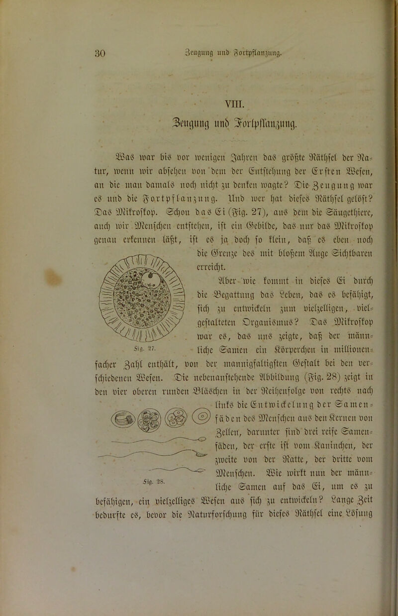 VIII. 3eufliutg unb 3for(pflait(^itU(]. Sa1? mar big oor mcuigeu Saljvcit bag größte Biätljfcl bcr 9ia« tur, meint mir abfctjcu non bcm bcr (Sutftdjuug ber 0r ftc tt SBcfcit, au bic mau bantalg uod) uidjt ju bcttfcu magte? Tue 3 ntgit ug mar cg uttb bic $ o r t p f I a tt g tt it g. Unb mcr tjat biefeö 9iätl)fct gclöft? Tag -OJitfroffop. ©djott bag (5t (gig. 27), aug beut bic ©äitgcttjierc, and) mir 90ccttfd)ctt cntftcljcn, ift citt (Muibc, bag nur bag SÖMfroffop genau erlernten täfjt, ift cg ja bod) fo dein, baff cg eben uod) bic ©rettje beg mit blofjem 2(ttgc ©idjtbareit erreicht. Stbcr mic fomint in biefeg (5i bttrd) bic ^Begattung bag Sebett, bag cg befähigt, fid) jtt cutmicfcht jitnt nicljcttigcn, nieU geftatteten Organigntttg? Tag -iÜIifroffop mar cg, bag ttttg geigte, bafj bcr mättn- 5i«-2?- lidjc ©ameit ein ÄBrpcrdjeu itt miüiottcn« fad)cr 3at)t enthält, non bcr ntannigfattigftcn ®eftalt bei bcu ner* fdjicbcnctt SBefen. Tic ncbcnanftcljcnbc SXbbitbung (gtg. 28) geigt in bett nicr oberen rnttben 33Iägd)ctt in bcr ^Reihenfolge non rcdjtg ttad) Itnfg bic Ghttmicfeluug bcr ©antcit* fäbnt beg Sftcufdjcu attg benfernen non gellen, banttttcr fittb brei reife ©amen* fäbett, bcr erfte ift noui ftaniudjcu, bcr gmeite non bcr 9iattc, bcr brittc nont 9Jicttfd)ctt. 2£ic mirt't nun bcr mann* tid)c ©amett auf bag (5t, unt cg gu befähigen, ein nicljcfligc« Sefett attg fid) gu entmitMu? Sange Beit bcbitrftc cg, benor bic Sfcaturforfdjung für biefeg 9fät()fct eine Söfttng