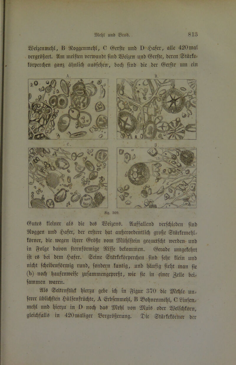 SBcijcmtief)!, B iKoggcnntebl, C ®crfte unb D Reifer, alle 420mal oergrößert. 3(nt weiften tierwanbt finb SÖeijcn unb ®erfte, bereu '©tärfc* förperdfen ganj äljulicf) auSfehen, bod) finb bie ber ©evftc um ein A. B. 5ifl. 369. ©utc« Heiner cd« bte be« SBeijen«. Sluffatteub öerfdjiebcn finb loggen unb §afer, ber erftere hat anßerorbentlicf) große ©tärfemcf)!* förncr, bie wegen ihrer ©rößc öom 93cid)(fteiu gequctfdjt werben unb in fyolge babon ftcruförmigc ffötffe befomnten. ©erabc umgefeljrt ift c8 bei beut -fiafer. @einc <Stctrfeförperd)en finb fetjr fleht unb nid)t fd)eibenförmig runb, fonbern fantig, unb häufig ficljt man fie (b) nod) haufenweife jufammengepreßt, wie fie in einer gelle bei* fammen waren. li« ©eitenftücf hierzu gebe id) in gigur 370 bie 9D?efdc un= ferer übüdjftcn fcfitfenftüdjte, A (Srbfcnmcl)l, B VoIjnenmef>l, C Sinfetu= mehl unb hierzu in D noch ba« 3J?ehl üon 2)fai« ober SÖelfdjforn, gleichfalls in 420maliger Vergrößerung. ü3ic Stärfcförner ber