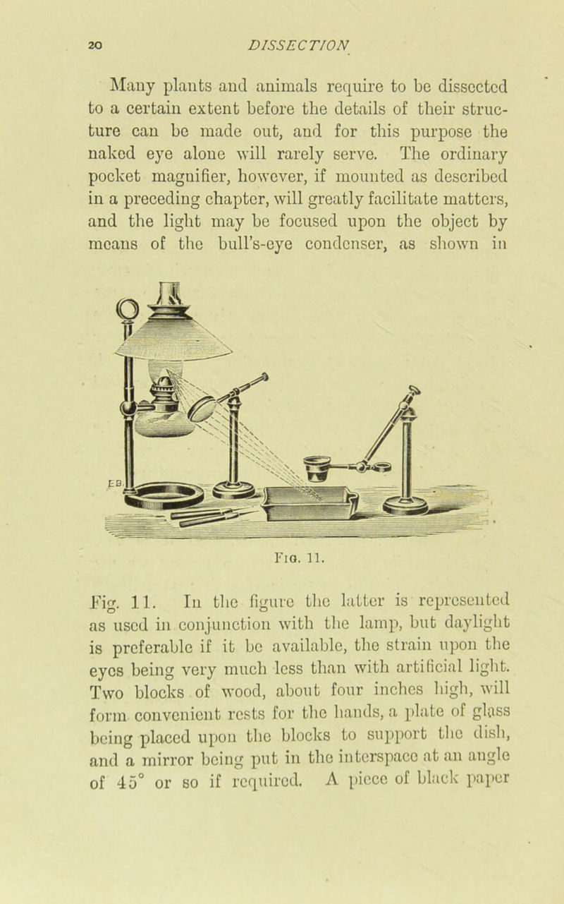 Many plants and animals require to be dissected to a certain extent before the details of their struc- ture can be made out, and for this purpose the naked eye alone will rarely serve. The ordinary pocket magnifier, however, if mounted as described in a preceding chapter, will greatly facilitate matters, and the light may be focused upon the object by means of the bull’s-eye condenser, as shown in Fio. 11. Fig. 11. In the figure the latter is represented as used in conjunction with the lamp, but daylight is preferable if it be available, the strain upon the eyes being very much less than with artificial light. Two blocks of wood, about four inches high, will form convenient rests for the hands, a plate of glass being placed upon the blocks to support the dish, and a mirror being put in the interspace at an angle of 45° or so if required. A piece of black paper