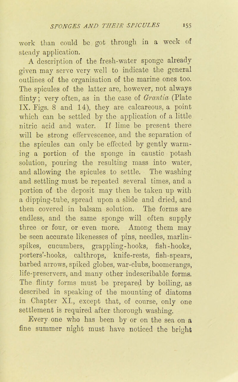 STONGES AND THEIR SPICULES *55 work than could be got through in a week of steady application. A description of the fresh-water sponge already given may serve very well to indicate the general outlines of the organisation of the marine ones too. The spicules of the latter are, however, not always flinty; very often, as in the case of Grcintici (Plate IX. Figs. 8 and 14), they are calcareous, a point which can be settled by the application of a little nitric acid and water. If lime be present there will be strong effervescence, and the separation of the spicules can only be effected by gently warm- ing a portion of the sponge in caustic potash solution, pouring the resulting mass into water, and allowing the spicules to settle. The washing and settling must be repeated several times, and a portion of the deposit may then be taken up with a dipping-tube, spread upon a slide and dried, and then covered in balsam solution. The forms are endless, and the same sponge will often supply three or four, or even more. Among them may be seen accurate likenesses of pins, needles, marlin- spikes, cucumbers, grappling-hooks, fish-hooks, porters’-hooks, calthrops, knife-rests, fish-spears, barbed arrows, spiked globes, war-clubs, boomerangs, life-preservers, and many other indescribable forms. The flinty forms must be prepared by boiling, as described in speaking of the mounting of diatoms in Chapter XI., except that, of course, only one settlement is required after thorough washing. Every one who has been by or on the sea on a fine summer night must have noticed the bright