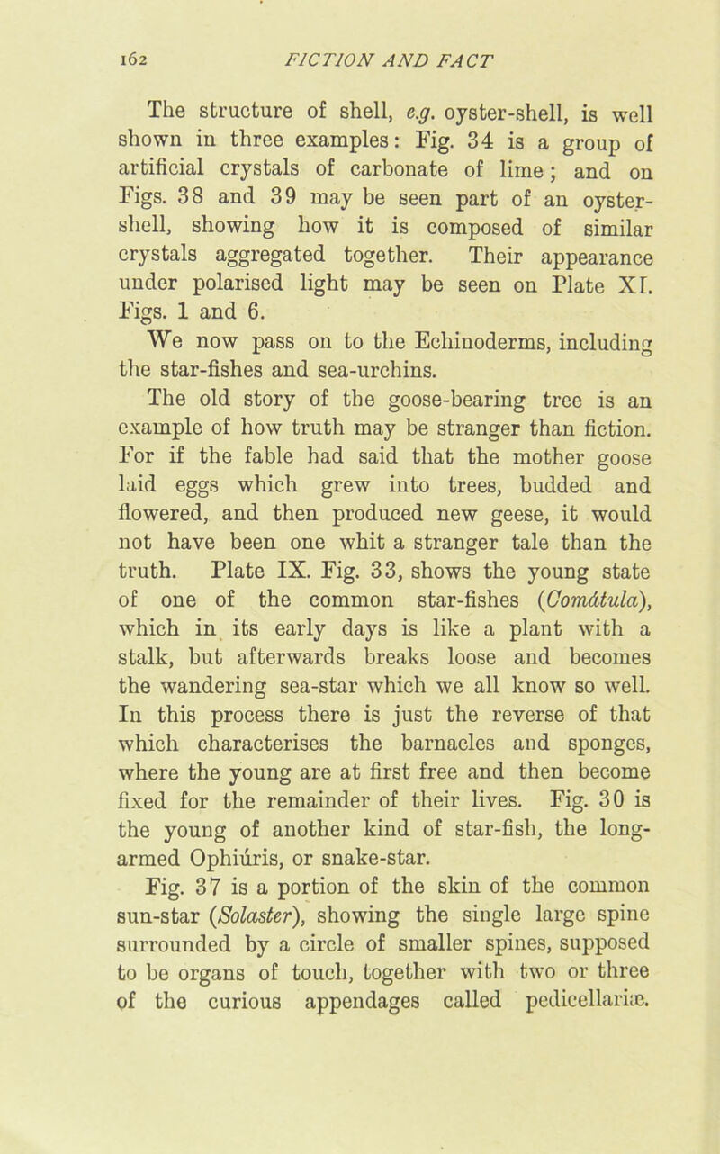 The structure of shell, e.g. oyster-shell, is well shown in three examples: Fig. 34 is a group of artificial crystals of carbonate of lime; and on Figs. 38 and 39 may be seen part of an oyster- shell, showing how it is composed of similar crystals aggregated together. Their appearance under polarised light may be seen on Plate XL Figs. 1 and 6. We now pass on to the Echinoderms, including the star-fishes and sea-urchins. The old story of the goose-bearing tree is an example of how truth may be stranger than fiction. For if the fable had said that the mother goose laid eggs which grew into trees, budded and flowered, and then produced new geese, it would not have been one whit a stranger tale than the truth. Plate IX. Fig. 33, shows the young state of one of the common star-fishes (Com&tula), which in its early days is like a plant with a stalk, but afterwards breaks loose and becomes the wandering sea-star which we all know so well. In this process there is just the reverse of that which characterises the barnacles and sponges, where the young are at first free and then become fixed for the remainder of their lives. Fig. 30 is the young of another kind of star-fish, the long- armed Ophiuris, or snake-star. Fig. 37 is a portion of the skin of the common sun-star (Solaster), showing the single large spine surrounded by a circle of smaller spines, supposed to be organs of touch, together with two or three of the curious appendages called pedicellariic.
