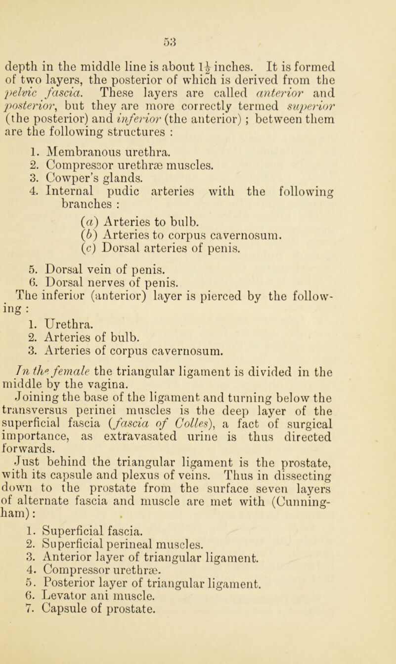 depth in the middle line is about 1 \ inches. It is formed of two layers, the posterior of which is derived from the pelvic fascia. These layers are called anterior and posterior, but they are more correctly termed superior (the posterior) and inferior (the anterior); between them are the following structures : 1. Membranous urethra. 2. Compressor urethrae muscles. 3. Cowper’s glands. 4. Internal pudic arteries with the following branches : (а) Arteries to bulb. (б) Arteries to corpus cavernosum. (c) Dorsal arteries of penis. 5. Dorsal vein of penis. 6. Dorsal nerves of penis. The inferior (anterior) layer is pierced by the follow- ing : 1. Urethra. 2. Arteries of bulb. 3. Arteries of corpus cavernosum. In the female the triangular ligament is divided in the middle by the vagina. Joining the base of the ligament and turning below the transversus perinei muscles is the deep layer of the superficial fascia {fascia of Colies), a fact of surgical importance, as extravasatecl urine is thus directed forwards. Just behind the triangular ligament is the prostate, with its capsule and plexus of veins. Thus in dissecting down to the prostate from the surface seven layers of alternate fascia and muscle are met with (Cunning- ham) : 1. Superficial fascia. 2. Superficial perineal muscles. 3. Anterior layer of triangular ligament. 4. Compressor urethrae. 5. Posterior layer of triangular ligament. 6. Levator ani muscle.