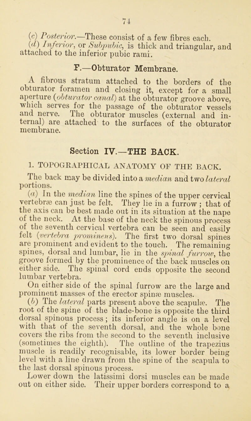 (c) Posterior.—These consist of a few fibres each. (<7) Inferior, or Subpubic, is thick and triangular, and attached to the inferior pubic rami. F.—Obturator Membrane. A fibrous stratum attached to the borders of the obturator foramen and closing it, except for a small aperture (obturator canal) at the obturator groove above, which serves for the passage of the obturator vessels and nerve. The obturator muscles (external and in- ternal) are attached to the surfaces of the obturator membrane. Section IV.—THE BACK. 1. TOPOGRAPHICAL ANATOMY OF THE BACK. I he back may be divided into a median and two lateral portions. (a) In the median line the spines of the upper cervical vertebrae can just be felt. They lie in a furrow ; that of the axis can be best made out in its situation at the nape of the neck. At the base of the neck the spinous process of the seventh cervical vertebra can be seen and easily felt (vertebra prominens). The first two dorsal spines are prominent and evident to the touch. The remaining spines, dorsal and lumbar, lie in the spinal furrow, the groove formed by the prominence of the back muscles on either side. The spinal cord ends opposite the second lumbar vertebra. On either side of the spinal furrow are the large and prominent masses of the erector spinae muscles. (b) The lateral parts present above the scapulae. The root of the spine of the blade-bone is opposite the third dorsal spinous process; its inferior angle is on a level with that of the seventh dorsal, and the whole bone covers the ribs lrom the second to the seventh inclusive (sometimes the eighth). The outline of the trapezius muscle is readily recognisable, its lower border being level with a line drawn from the spine of the scapula to the last dorsal spinous process. Lower down the latissimi dorsi muscles can be made out on either side. Their upper borders correspond to a