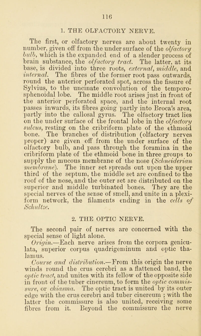 1. THE OLFACTORY NERVE. The first, or olfactory nerves are about twenty in number, given off from the under surface of the olfactory bulb, which is the expanded end of a slender process of brain substance, the olfactory tract. The latter, at its base, is divided into three roots, external, middle, and internal. The fibres of the former root pass outwards, round the anterior perforated spot, across the fissure of Sylvius, to the uncinate convolution of the temporo- sphenoidal lobe. The middle root arises just in front of the anterior perforated space, and the internal root passes inwards, its fibres going partly into Broca's area, partly into the callosal gyrus. The olfactory tract lies on the under surface of the frontal lobe in the olfactory sulcus, resting on the cribriform plate of the ethmoid bone. The branches of distribution (olfactory nerves proper) are given off from the under surface of the olfactory bulb, and pass through the foramina in the cribriform plate of the ethmoid bone in three groups to supply the mucous membrane of the nose (Schneiderian membrane). The inner set spreads out upon the upper third of the septum, the middle set are confined to the roof of the nose, and the outer set are distributed on the superior and middle turbinated bones. They are the special nerves of the sense of smell, and unite in a plexi- form network, the filaments ending in the cells of Schultze. 2. THE OPTIC NERVE. The second pair of nerves are concerned with the special sense of light alone. Origin.—Each nerve arises from the corpora genicu- lata, superior corpus quadrigeminum and optic tha- lamus. Course and distribution.—From this origin the nerve winds round the crus cerebri as a flattened band, the optic tract, and unites with its fellow of the opposite side in front of the tuber cinereum, to form the optic commis- sure, or chiasma. The optic tract is united by its outer edge with the crus cerebri and tuber cinereum ; with the latter the commissure is also united, receiving some fibres from it. Beyond the commissure the nerve