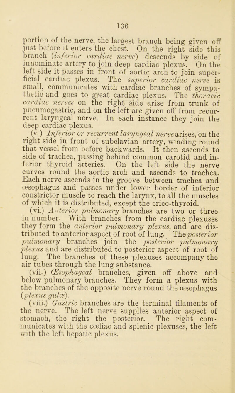portion of the nerve, the largest branch being given off just before it enters the chest. On the right side this branch (inferior cardiac nerve) descends by side of innominate artery to join deep cardiac plexus. On the left side it passes in front of aortic arch to join super- ficial cardiac plexus. The superior cardiac nerve is small, communicates with cardiac branches of sympa- thetic and goes to great cardiac plexus. The thoracic cardiac nerves on the right side arise from trunk of pneumogastric, and on the left are given off from recur- rent laryngeal nerve. In each instance they join the deep cardiac plexus. (v.) Inferior or recurrent laryngeal nerve arises, on the right side in front of subclavian artery, winding round that vessel from before backwards. It then ascends to side of trachea, passing behind common carotid and in- ferior thyroid arteries. On the left side the nerve curves round the aortic arch and ascends to trachea. Each nerve ascends in the groove between trachea and oesophagus and passes under lower border of inferior constrictor muscle to reach the larynx, to all the muscles of which it is distributed, except the crico-thyroid. (vi.) Anterior pulmonary branches are two or three in number. With branches from the cardiac plexuses they form the anterior pidmonary plexus, and are dis- tributed to anterior aspect of root of lung. The posterior pidmonary branches join the posteidor pulmonary plexus and are distributed to posterior aspect of root of Jung. The branches of these plexuses accompany the air tubes through the lung substance. (vii.) (Esophageal branches, given off above and below pulmonary branches. They form a plexus with the branches of the opposite nerve round the oesophagus (plexus gulce). (viii.) Gastric branches are the terminal filaments of the nerve. The left nerve supplies anterior aspect of stomach, the right the posterior. The right com- municates with the coeliac and splenic plexuses, the left with the left hepatic plexus.