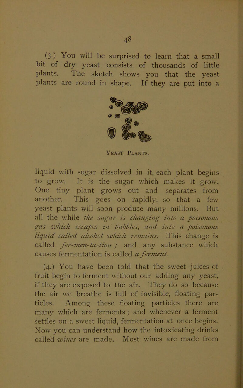 (3-) You will be surprised to learn that a small bit of dry yeast consists of thousands of little plants. The sketch shows you that the yeast plants are round in shape. If they are put into a liquid with sugar dissolved in it, each plant begins to grow. It is the sugar which makes it grow. One tiny plant grows out and separates from another. This goes on rapidly, so that a few yeast plants will soon produce many millions. But all the while the sugar is changing into a poisonous gas which escapes in babbles, and into a poisonous liquid called alcohol which remains. This change is called fer-men-ta-tion ; and any substance which causes fermentation is called a ferment. (4.) You have been told that the sweet juices of fruit begin to ferment without our adding any yeast, if they are exposed to the air. They do so because the air we breathe is full of invisible, floating par- ticles. Among these floating particles there are many which are ferments ; and whenever a ferment settles on a sweet liquid, fermentation at once begins. Now you can understand how the intoxicating drinks called wines are made. Most wines are made from Yeast Plants.