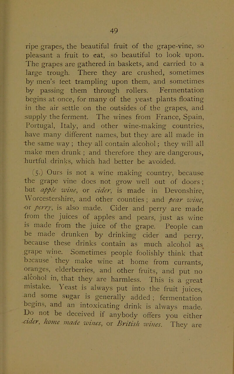 ripe grapes, the beautiful fruit of the grape-vine, so pleasant a fruit to eat, so beautiful to look upon. The grapes are gathered in baskets, and carried to a large trough. There they are crushed, sometimes by men’s feet trampling upon them, and sometimes by passing them through rollers. Fermentation begins at once, for many of the yeast plants floating in the air settle on the outsides of the grapes, and •supply the ferment. The wines from France, Spain, Portugal, Italy, and other wine-making countries, have many different names, but they are all made in the same way ; they all contain alcohol; they will all make men drunk ; and therefore they are dangerous, hurtful drinks, which had better be avoided. (5-) Ours is not a wine making country, because the grape vine does not grow well out of doors ; but apple wine, or cider, is made in Devonshire, W orcestershire, and other counties ; and pear wine, or perry, is also made. Cider and perry are made from the juices of apples and pears, just as wine is made from the juice of the grape. People can be made drunken by drinking cider and perry, because these drinks contain as much alcohol as grape wine. Sometimes people foolishly think that because they make wine at home from currants, oranges, elderberries, and other fruits, and put no alcohol in, that they are harmless. This is a great mistake. Yeast is always put into the fruit juices, and some sugar is generally added ; fermentation begins, and an intoxicating drink is always made. Do not be deceived if anybody offers you cither ■ eider, home made wines, or British wines. They are