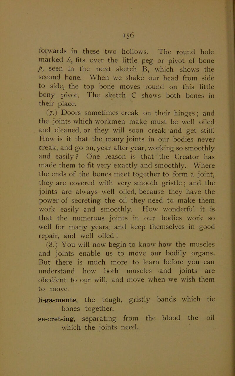 forwards in these two hollows. The round hole marked b, fits over the little peg or pivot of bone p, seen in the next sketch B, which shows the second bone. When we shake our head from side to side, the top bone moves round on this little bony pivot. The sketch C shows both bones in their place. (7.) Doors sometimes creak on their hinges; and the joints which workmen make must be well oiled and cleaned, or they will soon creak and get stiff. How is it that the many joints in our bodies never creak, and go on, year after year, working so smoothly and easily ? One reason is that the Creator has made them to fit very exactly and smoothly. Where the ends of the bones meet together to form a joint, they are covered with very smooth gristle ; and the joints are always well oiled, because they have the power of secreting the oil they need to make them work easily and smoothly. How wonderful it is that the numerous joints in our bodies work so well for many years, and keep themselves in good repair, and well oiled ! (8.) You will now begin to know how the muscles and joints enable us to move our bodily organs. But there is much more to learn before you can understand how both muscles and joints are obedient to our will, and move when we wish them to move. li-ga-mente, the tough, gristly bands which tie bones together. se-cret-ing, separating from the blood the oil which the joints need.
