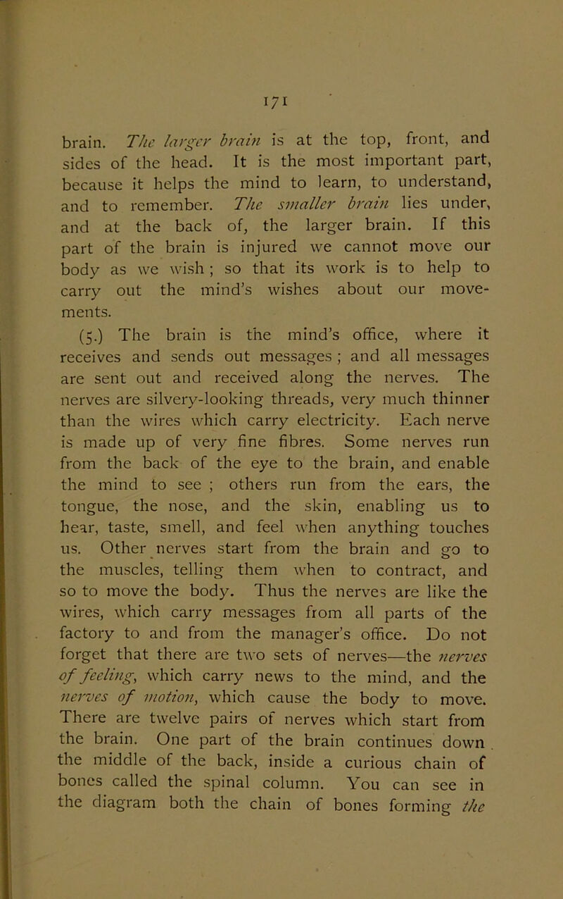 brain. The larger brain is at the top, front, and sides of the head. It is the most important part, because it helps the mind to learn, to understand, and to remember. The smaller brain lies under, and at the back of, the larger brain. If this part of the brain is injured we cannot move our body as we wish ; so that its work is to help to carry out the mind’s wishes about our move- ments. (5.) The brain is the mind’s office, where it receives and sends out messages ; and all messages are sent out and received along the nerves. The nerves are silvery-looking threads, very much thinner than the wires which carry electricity. Each nerve is made up of very fine fibres. Some nerves run from the back of the eye to the brain, and enable the mind to see ; others run from the ears, the tongue, the nose, and the skin, enabling us to hear, taste, smell, and feel when anything touches us. Other nerves start from the brain and go to the muscles, telling them when to contract, and so to move the body. Thus the nerves are like the wires, which carry messages from all parts of the factory to and from the manager’s office. Do not forget that there are two sets of nerves—the nerves of feeling, which carry news to the mind, and the nerves of motion, which cause the body to move. There are twelve pairs of nerves which start from the brain. One part of the brain continues down the middle of the back, inside a curious chain of bones called the spinal column. You can see in the diagram both the chain of bones forming the