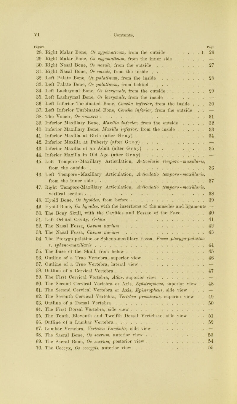 Figure Page 28. Eight Malar Bone, Os rcygomaticum, from the oiitside I. 26 29. Eight Malar Bone, Os zygomaticum, from the inner side — 30. Eight Nasal Bone, Os oiasale, from the outside 27 31. Eight Nasal Bone, Os nasale, from the inside — 32. Left Palate Bone, Os palaiinum, from the inside . 28 33. Left Palate Bone, Os palatinnm, from behind — 34. Left Lachrymal Bone, Os lacrymale, from the outside 29 35. Left Lachrymal Bone, Os lacrymale, from the inside — 36. Left Inferior Turbinated Bone, Concha inferior, from tlie inside ... 30 37. Left Inferior Turbinated Bone, Concha, inferior, from the outside . . — 38. The Vomer, Os vomeris 31 39. Inferior Maxillary Bone, Maxilla inferior, from the outside 32 40. Inferior Maxillary Bone, Maxilla inferior, from the inside 33 41. Inferior Maxilla at Birth (after Gray) 34 42. Inferior Maxilla at Puberty (after Gray) — 43. Inferior Maxilla of an Adult (after Gray) 35 44. Inferior Maxilla in Old Age (after Gray) — 45. Left Temporo-Maxillary Articulation, Articnlatio temporo-maxUlaris, from the outside 36 46. Left Temporo - Maxillary Articulation, Articnlatio temporo-maxillaris, from the inner side 37 47. Eight Temporo-Maxillary Articulation, Articnlatio temporo - maxillaris, vertical section 38 48. Hyoid Bone, Os hyoides, from before 39 49. Hyoid Bone, Os hyoides, with the insertions of the muscles and ligaments — 50. The Bony Skull, with the Cavities and Fossae of the Face 40 ,51. Left Orbital Cavity, Orhita 41 52. The Nasal Fossa, Cavum narium 42 53. The Nasal Fossa, Cavum narium 43 54. The Pterygo-palatine or Spheno-maxillary Fossa, Fossa piterygo-palatina s. spheno-maxillaris 44 55. The Base of the Skull, from below 45 .56. Outline of a True Vertebra, superior view .... ■ 46 57. Outline of a True Vertebra, lateral view — 58. Outline of a Cervical Vertebra 47 59. The First Cervical Vertebra, Atlas, superior A’iew — 60. The Second Cervical Vertebra or Axis, Epistropheus, superior \\ew . 48 61. The Second Cervical Vertebra or Axis, Epistropheus, side A’iew ... — 62. The Seventh Cervical Vertebra, Vertebra p)rominens, superior vie^v . . 49 63. Outline of a Dorsal Vertebra . . 50 64. The First Dorsal Vertebra, side Anew - - 65. The Tenth, Eleventh and Twelfth Dorsal Vertebrae, side view ... 51 66. Outline of a Lumbar Vertebra 52 67. Lumbar Vertel)ra, Vertebra LumbaUs, side Anew — 68. The Sacral Bone, Os sacrum, anterior view 53 69. The Sacral Bone, Os sacrum, posterior vieAV 54 70. Tlie Coccyx, Os coccygis, anterior view 55