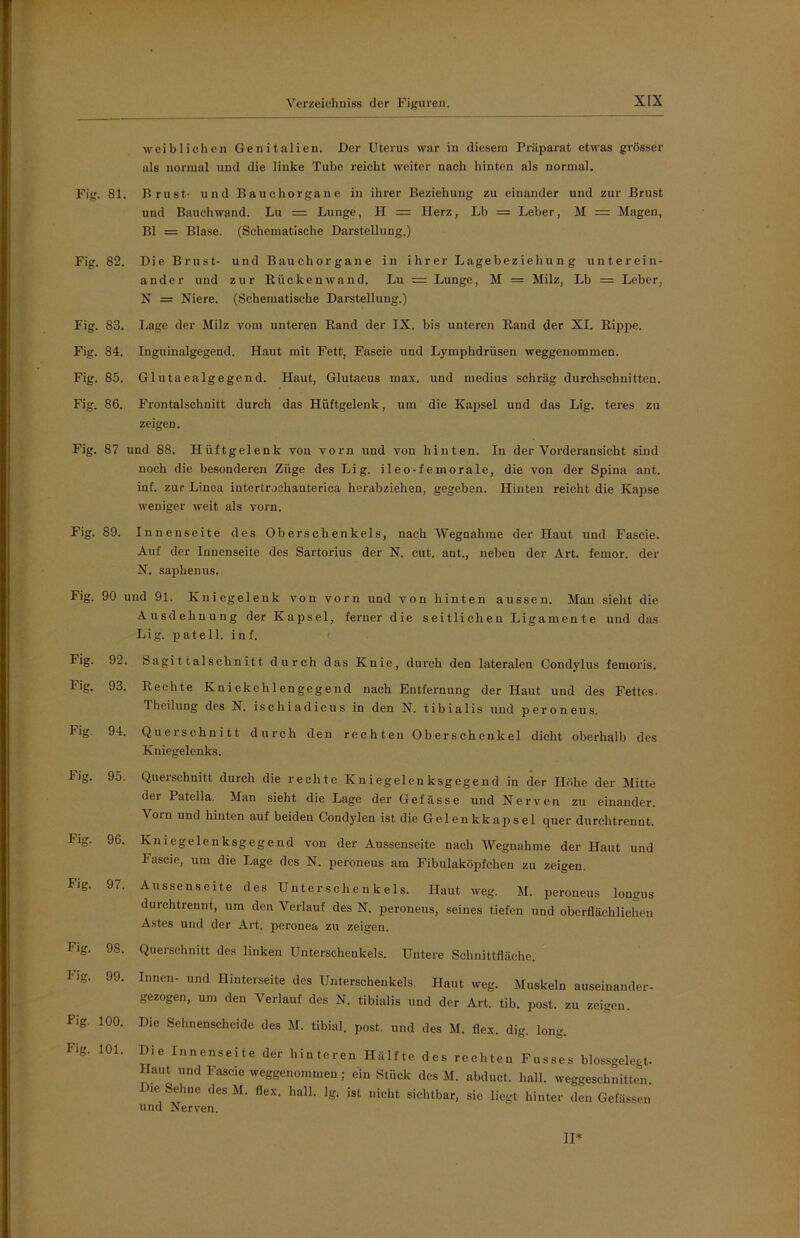 weiblichen Genitalien. Der Uterus war in diesem Präparat etwas grösser als normal und die linke Tube reicht weiter nach hinten als normal. Fig. 81. Brust- und Bauchorgane in ihrer Beziehung zu einander und zur Brust und Bauch wand. Lu = Lunge, H = Herz, Lb = Leber, M = Magen, Bl = Blase. (Schematische Darstellung.) Fig. 82. Die Brust- und Bauchorgane in ihrer Lagebeziehung unterein- ander und zur Bücken wand. Lu — Lunge, M = Milz, Lb = Leber, N = Niere. (Schematische Darstellung.) Fig. 83. Lage der Milz vom unteren Rand der IX. bis unteren Band der XI. Rippe. Fig. 84. Inguinalgegend. Haut mit Fett, Fascie und Lymphdrüsen weggenommen. Fig. 85. Glutaealgegend. Haut, Glutaeus max. und inedius schräg durchschnitten. Fig. 86. Frontalschnitt durch das Hüftgelenk, um die Kapsel und das Lig. teres zu zeigen. Fig. 87 und 88. Hüftgelenk von vorn und von hinten. In der Vorderansicht sind noch die besonderen Züge des Lig. ileo-femorale, die von der Spina ant. inf. zur Linea intertrochanterica herabziehen, gegeben. Hinten reicht die Kapse weniger weit als vorn. Fig. 89. Innenseite des Oberschenkels, nach Wegnahme der Haut und Fascie. Auf der Innenseite des Sartorius der N. cut. ant., neben der Art. femor. der N. saphenus. Fig. 90 und 91. Kniegelenk von vorn und von hinten aussen. Man sieht die Ausdehnung der Kapsel, ferner die seitlichen Ligamente und das Lig. pateil. inf. Fig. 92. Fig. 93. Fig. 94. Fig. 95. Fig. 96. Fig. 97. Fig. 98. Fig. 99. Fig. 100. Fig. 101. Sagittalschnitt durch das Knie, durch den lateralen Condylus femoris. Rechte Kniekehlengegend nach Entfernung der Haut und des Fettes. Thcilung des N. ischiadicus in den N. tibialis und peroneus. Querschnitt durch den rechten Oberschenkel dicht oberhalb des Kniegelenks. Querschnitt durch die rechte Kniegelenksgegend in der Höhe der Mitte der Patella. Man sieht die Lage der Gefässe und Nerven zu einander. ^0111 und hinten auf beiden Condylen ist die Gelenkkapsel quer durchtrennt. Kniegelenksgegend von der Aussenseite nach Wegnahme der Haut und Fascie, um die Lage des N. peroneus am Fibulaköpfchen zu zeigen. Aussenseite des Unterschenkels. Haut weg. M. peroneus lougus durchtrennt, um den Verlauf des N. peroneus, seines tiefen und oberflächlichen Astes und der Art. peronea zu zeigen. Querschnitt des linken Unterschenkels. Untere Schnittfläche. Innen- und Hinterseite des Unterschenkels. Haut weg. Muskeln auseinander- gezogen, um den Verlauf des N. tibialis und der Art. tib. post, zu zeigen. Die Sehnenscheide des M. tibial. post, und des M. flex. dig. long. Die Innenseite der hinteren Hälfte des rechten Fusses blossgelegt. Haut und Fascie weggenomrneu; ein Stück des M. abduct. hall, weggeschnitten. Die Sehne des M. flex. hall. lg. ist nicht sichtbar, sie liegt hinter den Gefässen und Nerven. II*