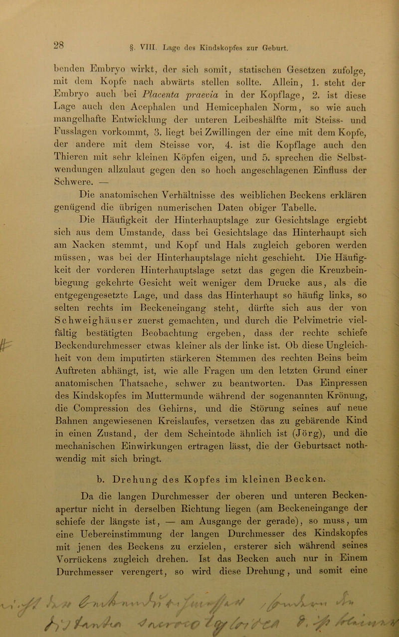 bcnden Embryo wirkt, dor sieb somit, statischen Gesetzen zufolge, mit dem Kopfe nach abwärts stellen sollte. Allein, 1. steht der Embryo auch bei Placenta praevia in der Kopflage, 2. ist diese Lage auch den Acephalen und Hemicephalen Norm, so wie auch mangelhafte Entwicklung der unteren Leibeshälfte mit Steiss- und Fusslagen vorkommt, 3. liegt bei Zwillingen der eine mit dem Kopfe, der andere mit dem Steisse vor, 4. ist die Kopflage auch den Thieren mit sehr kleinen Köpfen eigen, und 5. sprechen die Selbst- wendungen allzulaut gegen den so hoch angeschlagenen Einfluss der Schwere. — Die anatomischen Verhältnisse des weiblichen Beckens erklären genügend die übrigen numerischen Daten obiger Tabelle. Die Häufigkeit der Hinterhauptslage zur Gesichtslage ergiebt sich aus dem Umstande, dass bei Gesichtslage das Hinterhaupt sich am Nacken stemmt, und Kopf und Hals zugleich geboren werden müssen, Avas bei der Hinterhauptslage nicht geschieht. Die Häufig- keit der vorderen Hinterhauptslage setzt das gegen die Kreuzbein- biegung gekehrte Gesicht weit weniger dem Drucke aus, als die entgegengesetzte Lage, und dass das Hinterhaupt so häufig links, so selten rechts im Beckeneingang steht, dürfte sich aus der von Schweighäuser zuerst gemachten, und durch die Pelvimetrie viel- fältig bestätigten Beobachtung ergeben, dass der rechte schiefe Beckendurchmesser etwas kleiner als der linke ist. Ob diese Ungleich- heit von dem imputirten stärkeren Stemmen des rechten Beins beim Auftreten abhängt, ist, wie alle Fragen um den letzten Grund einer anatomischen Thatsache, sch^ver zu beantworten. Das Einpressen des Kindskopfes im Muttermunde während der sogenannten Krönung, die Compression des Gehirns, und die Störung seines auf neue Bahnen angewiesenen Kreislaufes, versetzen das zu gebärende Kind in einen Zustand, der dem Scheintode ähnlich ist (Jörg), und die mechanischen Einwirkungen ertragen lässt, die der Geburtsact noth- wendig mit sich bringt. b. Drehung des Kopfes im kleinen Becken. Da die langen Durchmesser der oberen und unteren Becken- apertur nicht in derselben Richtung liegen (am Beckeneingange der schiefe der längste ist, — am Ausgange der gerade), so muss, um eine Uebereinstimmung der langen Durchmesser des Kindskopfes mit jenen des Beckens zu erzielen, ersterer sich während seines Vorrückens zugleich drehen. Ist das Becken auch nur in Einem Durchmesser verengert, so wird diese Drehung, und somit eine