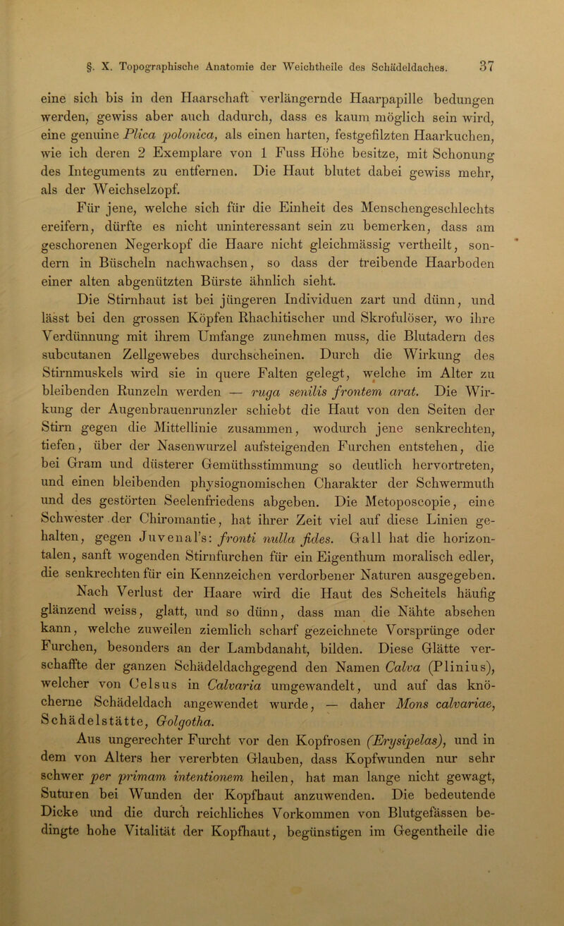 eine sich bis in den Haarschaft verlängernde Haarpapille bedungen werden, gewiss aber auch dadurch, dass es kaum möglich sein wird, eine genuine PUca polonica, als einen harten, festgefilzten Haarkuchen, wie ich deren 2 Exemplare von 1 Fuss Höhe besitze, mit Schonung des Integuments zu entfernen. Die Haut blutet dabei gewiss mehr, als der Weichselzopf. Für jene, welche sich für die Einheit des Menschengeschlechts ereifern, dürfte es nicht uninteressant sein zu bemerken, dass am geschorenen Negerkopf die Haare nicht gleichmässig vertheilt, son- dern in Büscheln nachwachsen, so dass der treibende Haarboden einer alten abgenützten Bürste ähnlich sieht. Die Stirnhaut ist bei jüngeren Individuen zart und dünn, und lässt bei den grossen Köpfen Rhachitischer und Skrofulöser, wo ihre Verdünnung mit ihrem Umfange zunehmen muss, die Blutadern des subcutanen Zellgewebes durchscheinen. Durch die Wirkung des Stirnmuskels wird sie in quere Falten gelegt, welche im Alter zu bleibenden Runzeln werden — ruga senilis frontem arat. Die Wir- kung der Augenbrauenrunzler schiebt die Haut von den Seiten der Stirn gegen die Mittellinie zusammen, wodurch jene senkrechten, tiefen, über der Nasenwurzel aufsteigenden Furchen entstehen, die bei Gram und düsterer GemüthsStimmung so deutlich hervortreten, und einen bleibenden physiognomischen Charakter der Schwermuth und des gestörten Seelenfriedens abgeben. Die Metoposcopie, eine Schwester der Chiromantie, hat ihrer Zeit viel auf diese Linien ge- halten, gegen Juveual’s:nulla fides. Gail hat die horizon- talen, sanft wogenden Stirnfurchen für ein Eigenthum moralisch edler, die senkrechten für ein Kennzeichen verdorbener Naturen ausgegeben. Nach Verlust der Haare wird die Haut des Scheitels häufig glänzend weiss, glatt, und so dünn, dass man die Nähte absehen kann, welche zuweilen ziemlich scharf gezeichnete Vorsprünge oder Furchen, besonders an der Lambdanaht, bilden. Diese Glätte ver- schaffte der ganzen Schädeldachgegend den Namen Calva (Plinius), welcher von Celsus in Calvaria umgewandelt, und auf das knö- cherne Schädeldach angewendet wurde, — daher Mons calvariae, Schädelstätte, Golgotha. Aus ungerechter Furcht vor den Kopfrosen (Erysipelas), und in dem von Alters her vererbten Glauben, dass Kopfwunden nur sehr schwer per yrimam intentionem heilen, hat man lange nicht gewagt, Suturen bei Wunden der Kopfhaut anzuwenden. Die bedeutende Dicke und die durch reichliches Vorkommen von Blutgefässen be- dingte hohe Vitalität der Kopfhaut, begünstigen im Gegentheile die