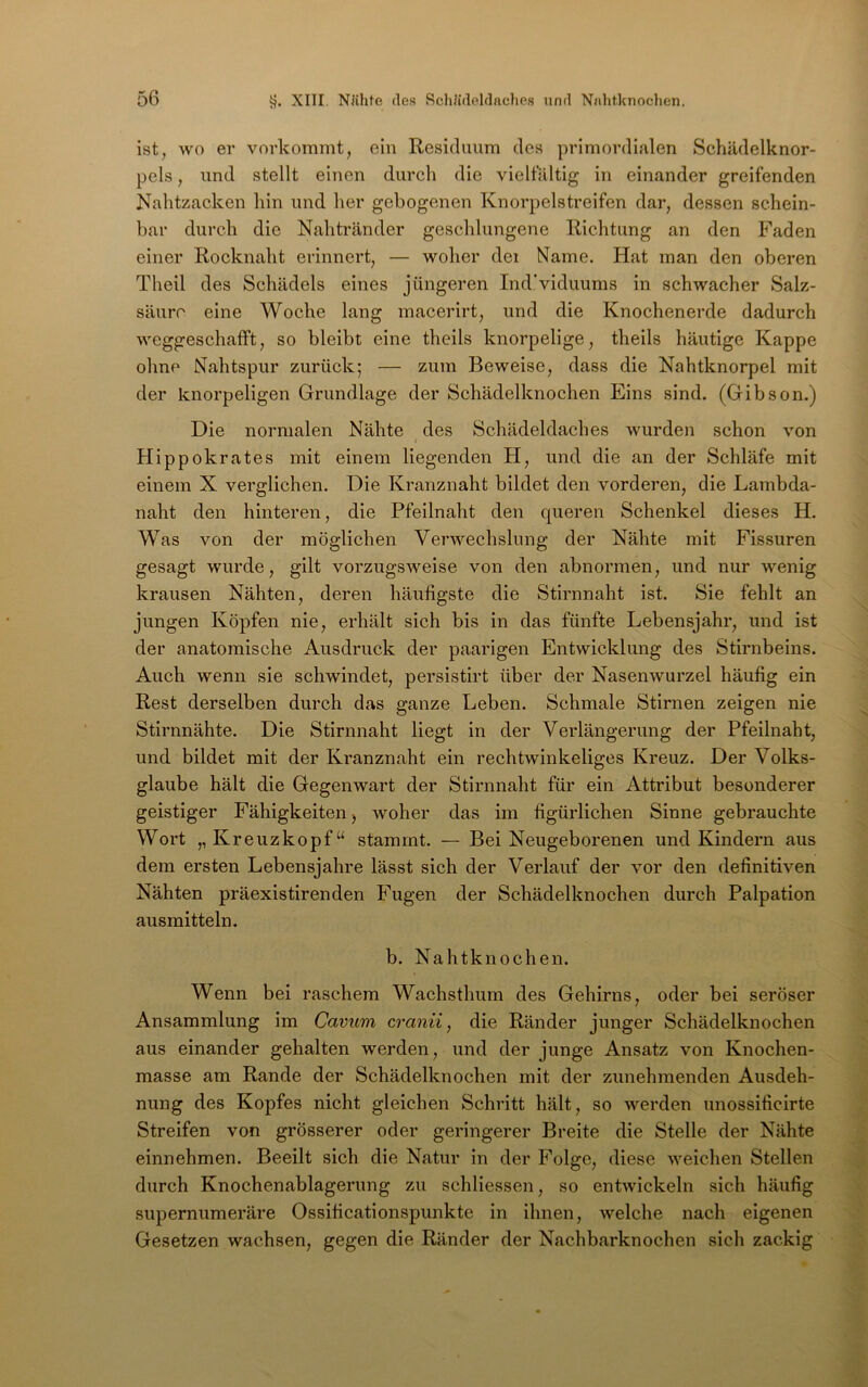 ist, WO er vorkommt, ein Residuum des primordifilen Schädelknor- pels , und stellt einen durch die vielfältig in einander greifenden Nahtzacken hin und her gebogenen Knorpelstreifen dar, dessen schein- bar durch die Nahtränder geschlungene Richtung an den Faden einer Rocknaht erinnert, — woher dei Name. Hat man den oberen Theil des Schädels eines jüngeren Ind.'viduums in schwacher Salz- säure eine Woche lang macerirt, und die Knochenerde dadurch weggeschafft, so bleibt eine theils knorpelige, theils häutige Kappe ohne Nahtspur zurück; — zum Beweise, dass die Nahtknorpel mit der knorpeligen Grundlage der Schädelknochen Eins sind. (Gibson.) Die normalen Nähte des Schädeldaches wurden schon von Hippokrates mit einem liegenden H, und die an der Schläfe mit einem X verglichen. Die Kranznaht bildet den vorderen, die Lambda- naht den hinteren, die Pfeilnaht den queren Schenkel dieses H. Was von der möglichen Verwechslung der Nähte mit Fissuren gesagt wurde, gilt vorzugsweise von den abnormen, und nur wenig krausen Nähten, deren häufigste die Stirnnaht ist. Sie fehlt an jungen Köpfen nie, erhält sich bis in das fünfte Lebensjahr, und ist der anatomische Ausdruck der paarigen Entwicklung des Stirnbeins. Auch wenn sie schwindet, persistirt über der Nasenwurzel häufig ein Rest derselben durch das ganze Leben. Schmale Stirnen zeigen nie Stirnnähte. Die Stirnnaht liegt in der Verlängerung der Pfeilnaht, und bildet mit der Kranznaht ein rechtwinkeliges Kreuz. Der Volks- glaube hält die Gegenwart der Stirnnaht für ein Attribut besonderer geistiger Fähigkeiten woher das im figürlichen Sinne gebrauchte Wort „Kreuzkopf“ stammt. — Bei Neugeborenen und Kindern aus dem ersten Lebensjahre lässt sich der Verlauf der vor den definitiven Nähten präexistirenden Fugen der Schädelknochen durch Palpation ausmitteln. b. Nahtknochen. Wenn bei raschem Wachsthum des Gehirns, oder bei seröser Ansammlung im Cavum cranii, die Ränder junger Schädelknochen aus einander gehalten werden, und der junge Ansatz von Knochen- masse am Rande der Schädelknochen mit der zunehmenden Ausdeh- nung des Kopfes nicht gleichen Schritt hält, so werden unossificirte Streifen von grösserer oder geringerer Breite die Stelle der Nähte einnehmen. Beeilt sich die Natur in der Folge, diese weichen Stellen durch Knochenablagerung zu schliessen, so entwickeln sich häufig supernumeräre Ossificationspunkte in ihnen, welche nach eigenen Gesetzen wachsen, gegen die Ränder der Nachbarknochen sich zackig