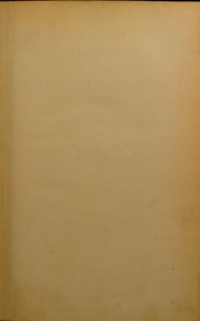 *> KvrVn- I / A ■M' : . TsV./ -