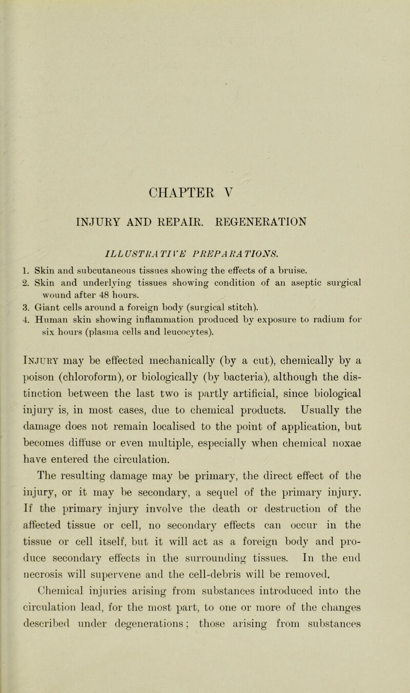 INJURY AND REPAIR. REGENERATION IL L USTRA TIVE PREP A RA TIONS. 1. Skin and subcutaneous tissues showing the effects of a bruise. 2. Skin and underlying tissues showing condition of an aseptic surgical wound after 48 hours. 3. Giant cells around a foreign body (surgical stitch). 4. Human skin showing inflammation produced by exposure to radium for six hours (plasma cells and leucocytes). Injury may be effected mechanically (by a cut), chemically by a poison (chloroform), or biologically (by bacteria), although the dis- tinction between the last two is partly artificial, since biological injury is, in most cases, due to chemical products. Usually the damage does not remain localised to the point of application, but becomes diffuse or even multiple, especially when chemical noxae have entered the circulation. The resulting damage may be primary, the direct effect of tlie injury, or it may he secondary, a sequel of the primary injury. If the primary injury involve tlie death or destruction of the affected tissue or cell, no secondary effects can occur in the tissue or cell itself, but it will act as a foreign body and pro- duce secondary effects in the surrounding tissues. In the end necrosis will supervene and the cell-debris will be removed. Chemical injuries arising from substances introduced into the circulation lead, for the most part, to one or more of tlie changes described under degenerations; those arising from substances