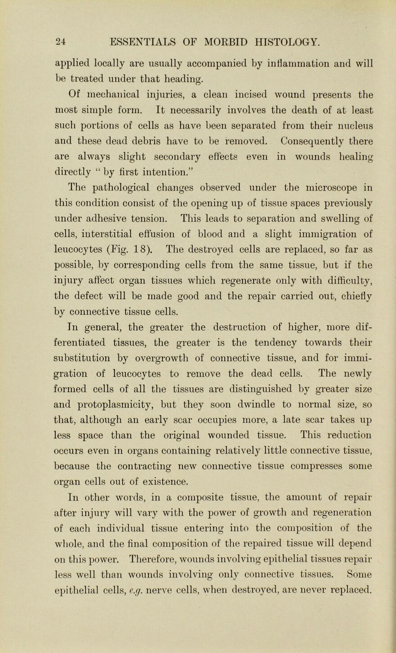 applied locally are usually accompanied by indammation and will be treated under that heading. Of mechanical injuries, a clean incised wound presents the most simple form. It necessarily involves the death of at least such portions of cells as have been separated from their nucleus and these dead debris have to be removed. Consequently there are always slight secondary effects even in wounds healing directly “ by first intention.” The pathological changes observed under the microscope in this condition consist of the opening up of tissue spaces previously under adhesive tension. This leads to separation and swelling of cells, interstitial effusion of blood and a slight immigration of leucocytes (Eig. 18). The destroyed cells are replaced, so far as possible, by corresponding cells from the same tissue, but if the injury affect organ tissues which regenerate only with difficulty, the defect will be made good and the repair carried out, chiefiy by connective tissue cells. In general, the greater the destruction of higher, more dif- ferentiated tissues, the greater is the tendency towards their substitution by overgrowth of connective tissue, and for immi- gration of leucocytes to remove the dead cells. The newly formed cells of all the tissues are distinguished by greater size and protoplasmicity, but they soon dwindle to normal size, so that, although an early scar occupies more, a late scar takes up less space than the original wounded tissue. This reduction occurs even in organs containing relatively little connective tissue, because the contracting new connective tissue compresses some organ cells out of existence. In other words, in a composite tissue, the amount of repair after injury will vary with the power of growtli and regeneration of each individual tissue entering into the composition of the whole, and the final composition of the repaired tissue will depend on this power. Therefore, wounds involving epithelial tissues repair less well than wounds involving only connective tissues. Some epitlielial cells, e.g. nerve cells, when destroyed, are never replaced.