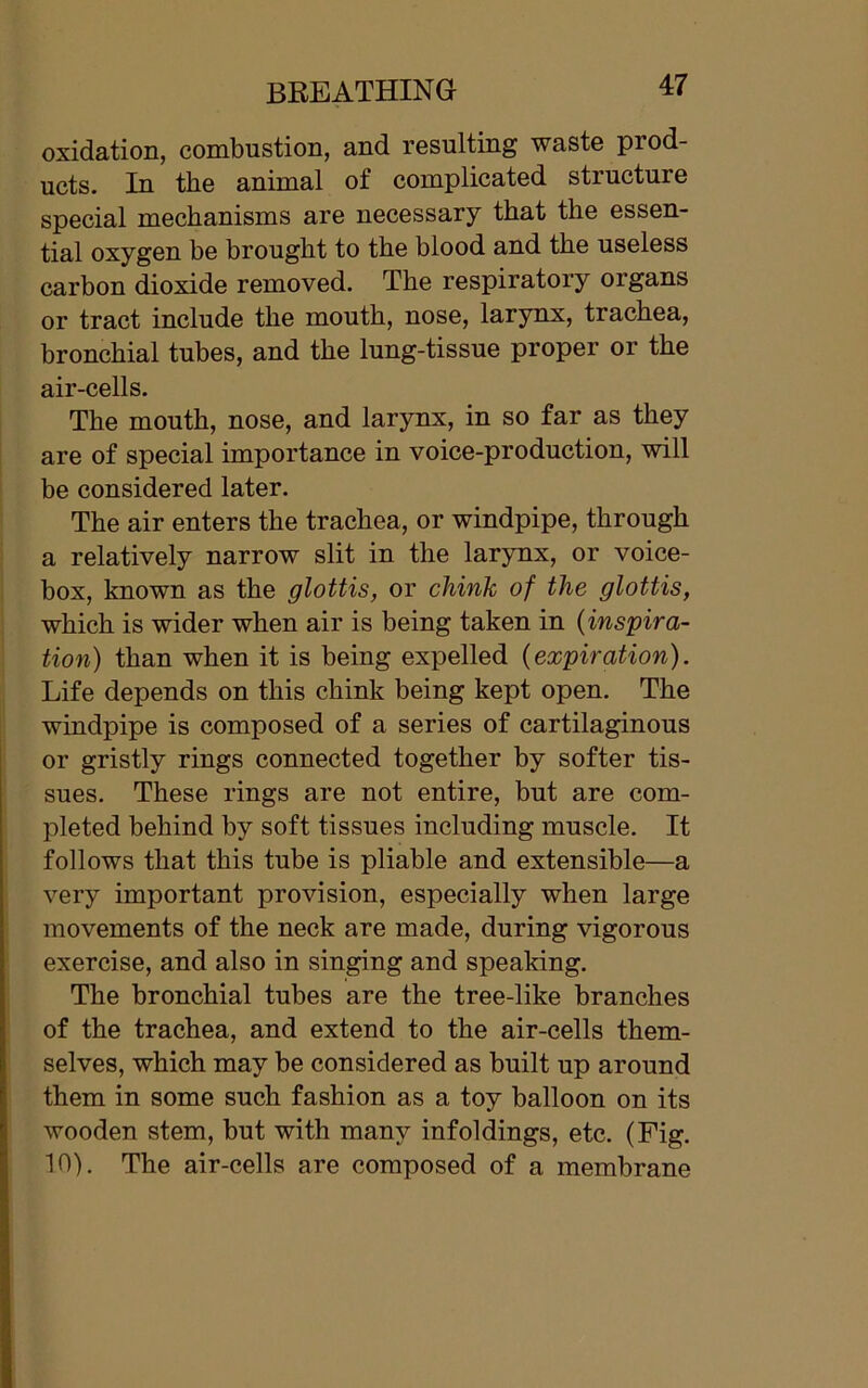 oxidation, combustion, and resulting waste prod- ucts. In the animal of complicated structure special mechanisms are necessary that the essen- tial oxygen be brought to the blood and the useless carbon dioxide removed. The respiratory organs or tract include the mouth, nose, larynx, trachea, bronchial tubes, and the lung-tissue proper or the air-cells. The mouth, nose, and larynx, in so far as they are of special importance in voice-production, will be considered later. The air enters the trachea, or windpipe, through a relatively narrow slit in the larynx, or voice- box, known as the glottis, or chink of the glottis, which is wider when air is being taken in (inspira- tion) than when it is being expelled (expiration). Life depends on this chink being kept open. The windpipe is composed of a series of cartilaginous or gristly rings connected together by softer tis- sues. These rings are not entire, but are com- pleted behind by soft tissues including muscle. It follows that this tube is pliable and extensible—a very important provision, especially when large movements of the neck are made, during vigorous exercise, and also in singing and speaking. The bronchial tubes are the tree-like branches of the trachea, and extend to the air-cells them- selves, which may be considered as built up around them in some such fashion as a toy balloon on its wooden stem, but with many infoldings, etc. (Fig. 10). The air-cells are composed of a membrane