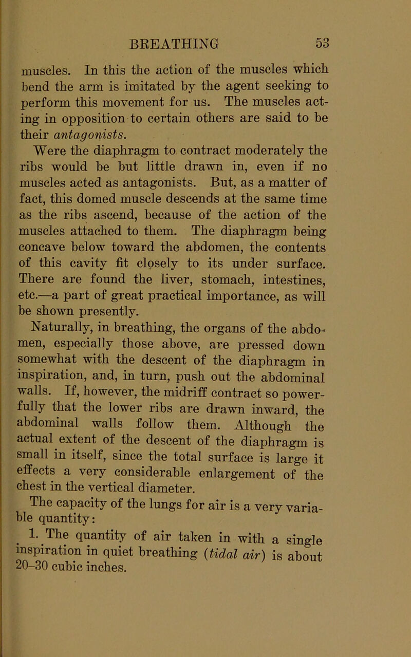 * muscles. In this the action of the muscles which bend the arm is imitated by the agent seeking to perform this movement for us. The muscles act- ing in opposition to certain others are said to be their antagonists. Were the diaphragm to contract moderately the ribs would be but little drawn in, even if no muscles acted as antagonists. But, as a matter of fact, this domed muscle descends at the same time as the ribs ascend, because of the action of the muscles attached to them. The diaphragm being concave below toward the abdomen, the contents of this cavity fit closely to its under surface. There are found the liver, stomach, intestines, etc.—a part of great practical importance, as will be shown presently. Naturally, in breathing, the organs of the abdo- men, especially those above, are pressed down somewhat with the descent of the diaphragm in inspiration, and, in turn, push out the abdominal walls. If, however, the midriff contract so power- fully that the lower ribs are drawn inward, the abdominal walls follow them. Although the actual extent of the descent of the diaphragm is small in itself, since the total surface is large it effects a very considerable enlargement of the chest in the vertical diameter. The capacity of the lungs for air is a very varia- ble quantity: 1. The quantity of air taken in with a single inspiration in quiet breathing (tidal air) is about 20-30 cubic inches.