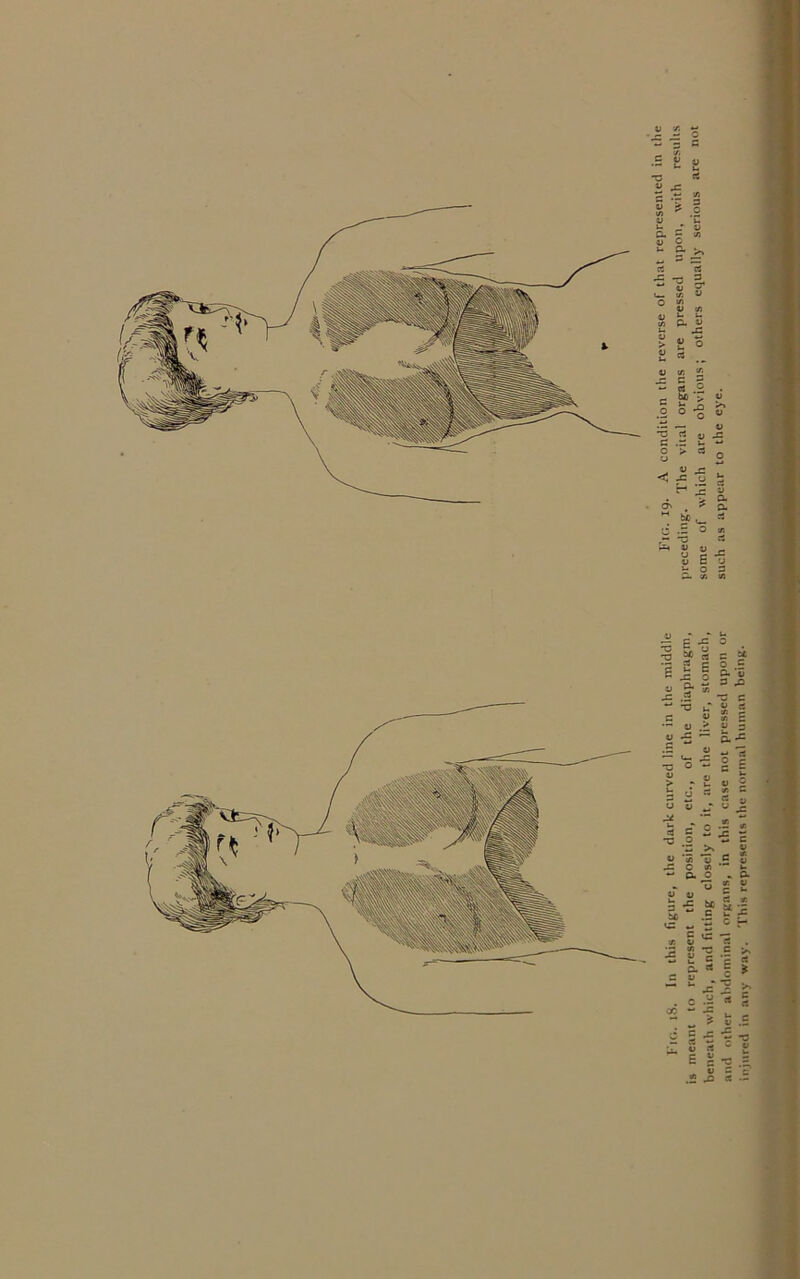 rs “f rt *2 G c .c o & ’v 3 .O * C V - y J“ ~ o • 5 w ' 'Z >» *j« TJ o (fl * a o * u y c3 * r5£ c r- a rt V u x % * Z 5 rt c t * e £ -P 1