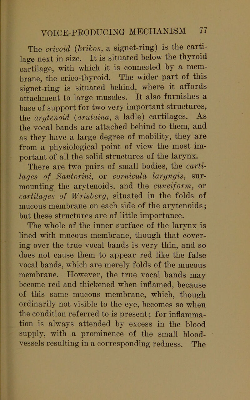 The cricoid (krikos, a signet-ring) is the carti- lage next in size. It is situated below the thyroid cartilage, with which it is connected by a mem- brane, the crico-thyroid. The wider part of this signet-ring is situated behind, where it affords attachment to large muscles. It also furnishes a base of support for two very important structures, the arytenoid (arutaina, a ladle) cartilages. As the vocal bands are attached behind to them, and as they have a large degree of mobility, they are from a physiological point of view the most im- portant of all the solid structures of the larynx. There are two pairs of small bodies, the carti- lages of Santorini, or cornicula laryngis, sur- mounting the arytenoids, and the cuneiform, or cartilages of Wrisberg, situated in the folds of mucous membrane on each side of the arytenoids; but these structures are of little importance. The whole of the inner surface of the larynx is lined with mucous membrane, though that cover- ing over the true vocal bands is very thin, and so does not cause them to appear red like the false vocal bands, which are merely folds of the mucous membrane. However, the true vocal bands may become red and thickened when inflamed, because of this same mucous membrane, which, though ordinarily not visible to the eye, becomes so when the condition referred to is present; for inflamma- tion is always attended by excess in the blood supply, with a prominence of the small blood- vessels resulting in a corresponding redness. The