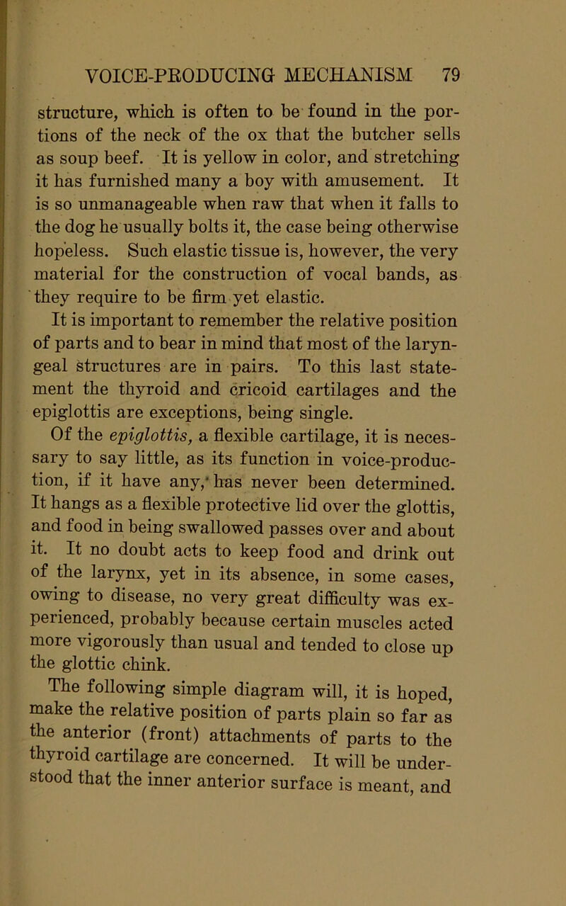 structure, which, is often to be found in the por- tions of the neck of the ox that the butcher sells as soup beef. It is yellow in color, and stretching it has furnished many a boy with amusement. It is so unmanageable when raw that when it falls to the dog he usually bolts it, the case being otherwise hopeless. Such elastic tissue is, however, the very material for the construction of vocal bands, as they require to be firm yet elastic. It is important to remember the relative position of parts and to bear in mind that most of the laryn- geal Structures are in pairs. To this last state- ment the thyroid and cricoid cartilages and the epiglottis are exceptions, being single. Of the epiglottis, a flexible cartilage, it is neces- sary to say little, as its function in voice-produc- tion, if it have any,* has never been determined. It hangs as a flexible protective lid over the glottis, and food in being swallowed passes over and about it. It no doubt acts to keep food and drink out of the larynx, yet in its absence, in some cases, owing to disease, no very great difficulty was ex- perienced, probably because certain muscles acted more vigoiously than usual and tended to close up the glottic chink. The following simple diagram will, it is hoped, make the relative position of parts plain so far as the anterior (front) attachments of parts to the thyroid cartilage are concerned. It will be under- stood that the inner anterior surface is meant, and