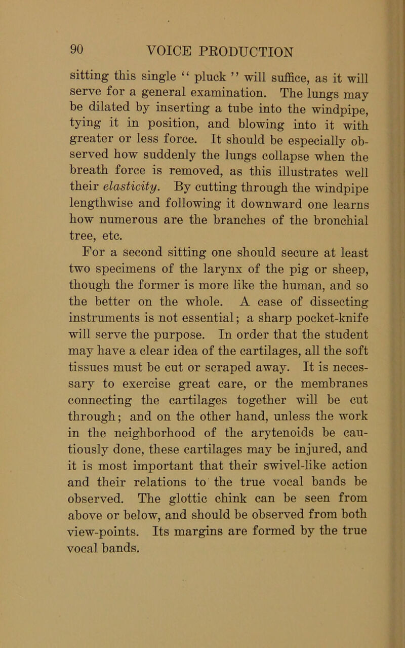 sitting this single ‘ ‘ pluck ’ ’ will suffice, as it will serve for a general examination. The lungs may- be dilated by inserting a tube into the windpipe, tying it in position, and blowing into it with greater or less force. It should be especially ob- served how suddenly the lungs collapse when the breath force is removed, as this illustrates well their elasticity. By cutting through the windpipe lengthwise and following it downward one learns how numerous are the branches of the bronchial tree, etc. For a second sitting one should secure at least two specimens of the larynx of the pig or sheep, though the former is more like the human, and so the better on the whole. A case of dissecting instruments is not essential; a sharp pocket-knife will serve the purpose. In order that the student may have a clear idea of the cartilages, all the soft tissues must be cut or scraped away. It is neces- sary to exercise great care, or the membranes connecting the cartilages together will be cut through; and on the other hand, unless the work in the neighborhood of the arytenoids be cau- tiously done, these cartilages may be injured, and it is most important that their swivel-like action and their relations to the true vocal bands be observed. The glottic chink can be seen from above or below, and should be observed from both view-points. Its margins are formed by the true vocal bands.