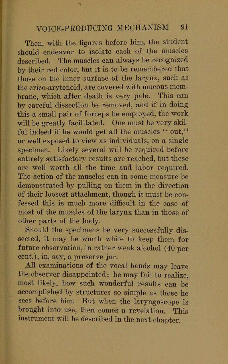 Then, with the figures before him, the student should endeavor to isolate each of the muscles described. The muscles can always be recognized by their red color, but it is to be remembered that those on the inner surface of the larynx, such as the crico-arytenoid, are covered with mucous mem- brane, which after death is very pale. This can by careful dissection be removed, and if in doing this a small pair of forceps be employed, the work will be greatly facilitated. One must be very skil- ful indeed if he would get all the muscles ‘ ‘ out, ’ ’ or well exposed to view as individuals, on a single specimen. Likely several will be required before entirely satisfactory results are reached, but these are well worth all the time and labor required. The action of the muscles can in some measure be demonstrated by pulling on them in the direction of their loosest attachment, though it must be con- fessed this is much more difficult in the case of most of the muscles of the larynx than in those of other parts of the body. Should the specimens be very successfully dis- sected, it may be worth while to keep them for future observation, in rather weak alcohol (40 per cent.), in, say, a preserve jar. All examinations of the vocal bands may leave the observer disappointed; he may fail to realize, most likely, how such wonderful results can be accomplished by structures so simple as those he sees before him. But when the laryngoscope is brought into use, then comes a revelation. This instrument will be described in the next chapter.
