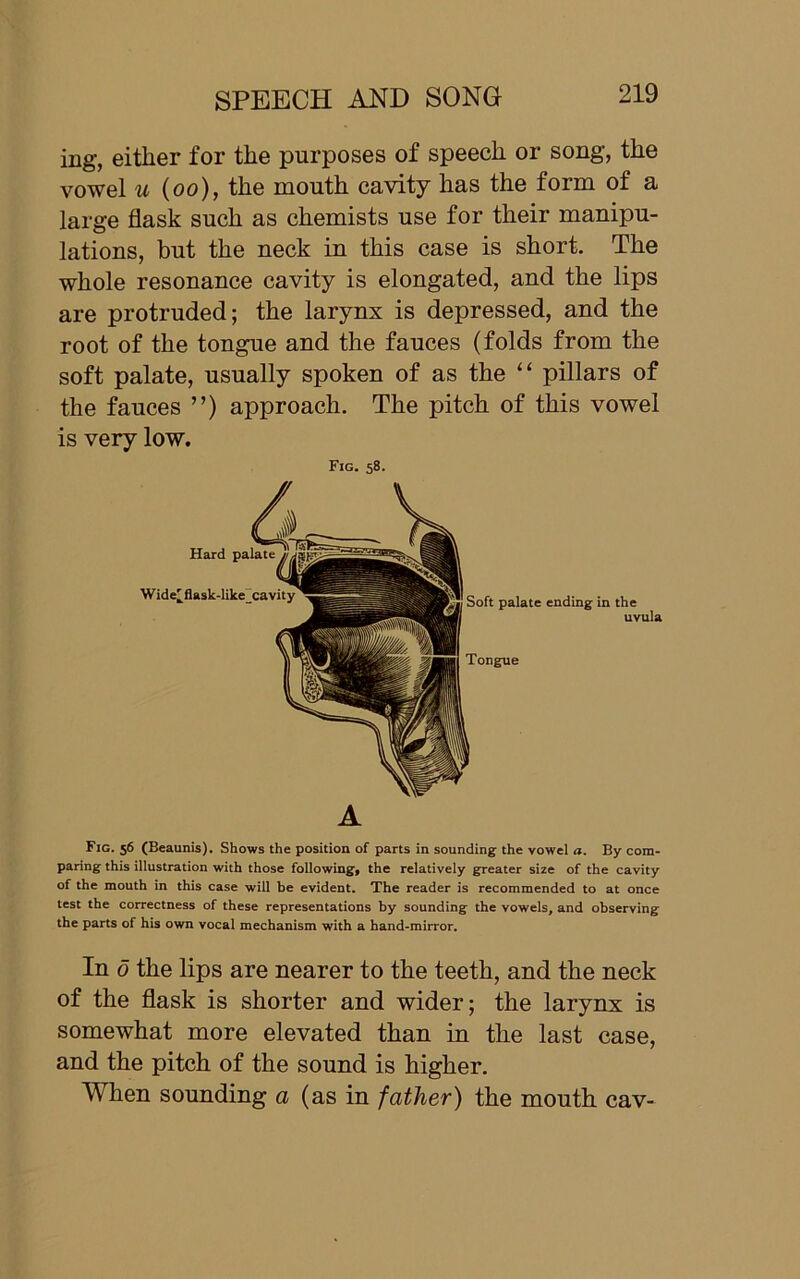 ing, either for the purposes of speech or song, the vowel u (oo), the mouth cavity has the form of a large flask such as chemists use for their manipu- lations, but the neck in this case is short. The whole resonance cavity is elongated, and the lips are protruded; the larynx is depressed, and the root of the tongue and the fauces (folds from the soft palate, usually spoken of as the “ pillars of the fauces ”) approach. The pitch of this vowel is very low. Fig. 56 (Beaunis). Shows the position of parts in sounding the vowel a. By com- paring this illustration with those following, the relatively greater size of the cavity of the mouth in this case will be evident. The reader is recommended to at once test the correctness of these representations by sounding the vowels, and observing the parts of his own vocal mechanism with a hand-mirror. In 6 the lips are nearer to the teeth, and the neck of the flask is shorter and wider; the larynx is somewhat more elevated than in the last case, and the pitch of the sound is higher. When sounding a (as in father) the mouth cav-