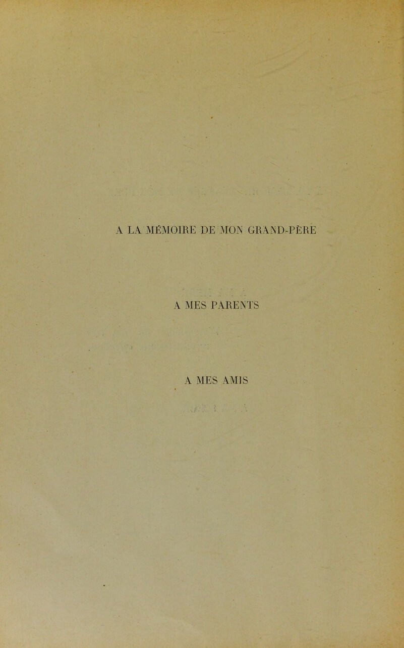 A LA MÉMOIRE DE MON GRAND-PÈRE A MES PARENTS A MES AMIS