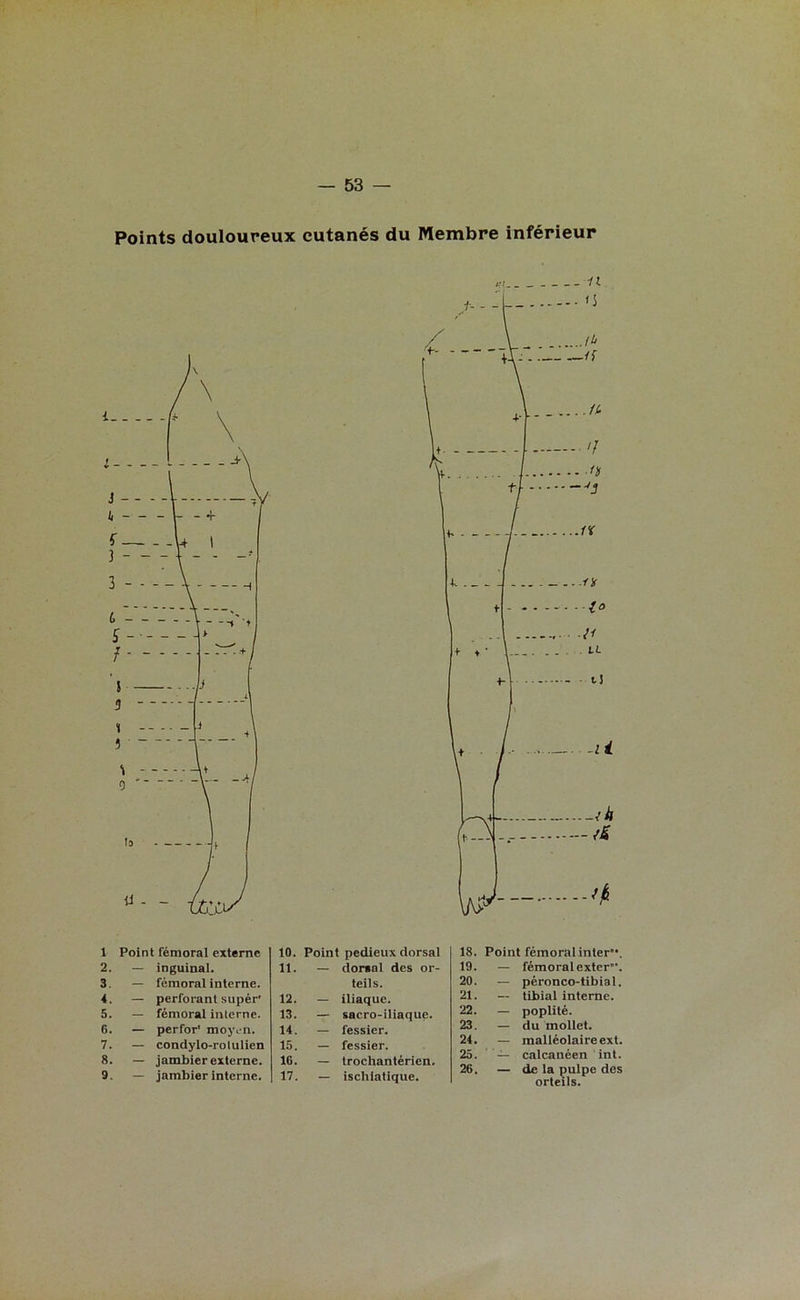 Points douloureux cutanés du Membre inférieur 1 Point fémoral externe 2. — inguinal. 3. — fémoral interne. 4. — perforant supér' 5. — fémoral interne. 6. — perfor' moyen. 7. — condylo-rotulien 8. — jambier externe. 9. — jambier interne. 10. Point pedieux dorsal 11. — dorsal des or- teils. 12. — iliaque. 13. — sacro-iliaque. 14. — fessier. 15. — fessier. 10. — trochantérien. 17. — ischiatique. 18. Point fémoral inter. 19. — fémoral exter. 20. — péronco-tibial. 21. — tibial interne. 22. — poplité. 23. — du mollet. 24. — malléolaire ext. 25. — calcanéen int. 26. — de la pulpe des orteils.