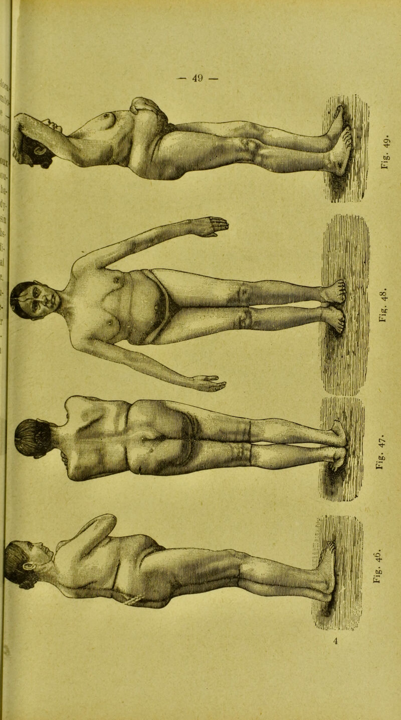 Fig. 48.