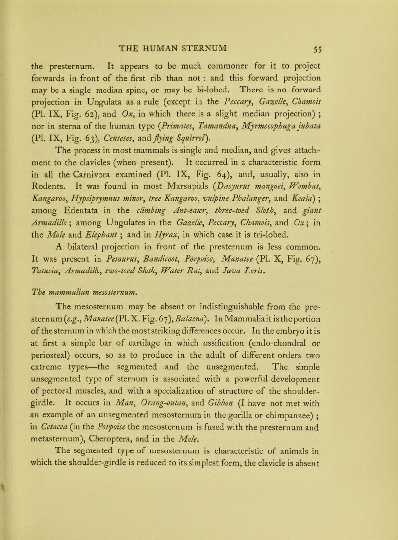 the presternum. It appears to be much commoner for it to project forwards in front of the first rib than not : and this forward projection may be a single median spine, or may be bi-lobed. There is no forward projection in Ungulata as a rule (except in the Peccary, Gazelle, Chamois (PL IX, Fig. 62), and Ox, in which there is a slight median projection) ; nor in sterna of the human type (Primates, Tamandua, Myrmecophaga juhata (PI. IX, Fig. 63), Centetes, and flying Squirrel). The process in most mammals is single and median, and gives attach- ment to the clavicles (when present). It occurred in a characteristic form in all the Carnivora examined (PI. IX, Fig. 64), and, usually, also in Rodents. It was found in most Marsupials (Dasyurus mangoei, JVomhat, Kangaroo, Hypsiprymnus minor, tree Kangaroo, vulpine Phalanger, and Koala) ; among Edentata in the climbing Ant-eater, three-toed Sloth, and giant Armadillo ; among Ungulates in the Gazelle, Peccary, Chamois, and Ox; in the Mole and Elephant; and in Hyrax, in which case it is tri-lobed. A bilateral projection in front of the presternum is less common. It was present in Petaurus, Bandicoot, Porpoise, Manatee (PI. X, Fig. 67), Tatusia, Armadillo, two-toed Sloth, ?/<?r A#/, and Loris. The mammalian mesosternum. The mesosternum may be absent or indistinguishable from the pre- sternum (£•£■., Manatee (PL X. Fig. 67), Balaend). In Mammalia it is the portion of the sternum in which the most striking differences occur. In the embryo it is at first a simple bar of cartilage in which ossification (endo-chondral or periosteal) occurs, so as to produce in the adult of different orders two extreme types—the segmented and the unsegmented. The simple unsegmented type of sternum is associated with a powerful development of pectoral muscles, and with a specialization of structure of the shoulder- girdle. It occurs in Man, Orang-outan, and Gibbon (I have not met with an example of an unsegmented mesosternum in the gorilla or chimpanzee) ; in Cetacea (in the Porpoise the mesosternum is fused with the presternum and metasternum), Cheroptera, and in the Mole. The segmented type of mesosternum is characteristic of animals in which the shoulder-girdle is reduced to its simplest form, the clavicle is absent