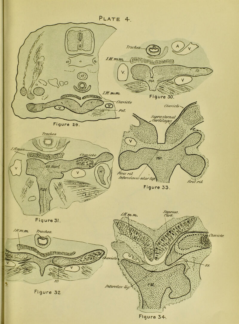 Figure 30. Figure 29 *'*>*»/' 'i» / ' i g ure ure /••i <• *