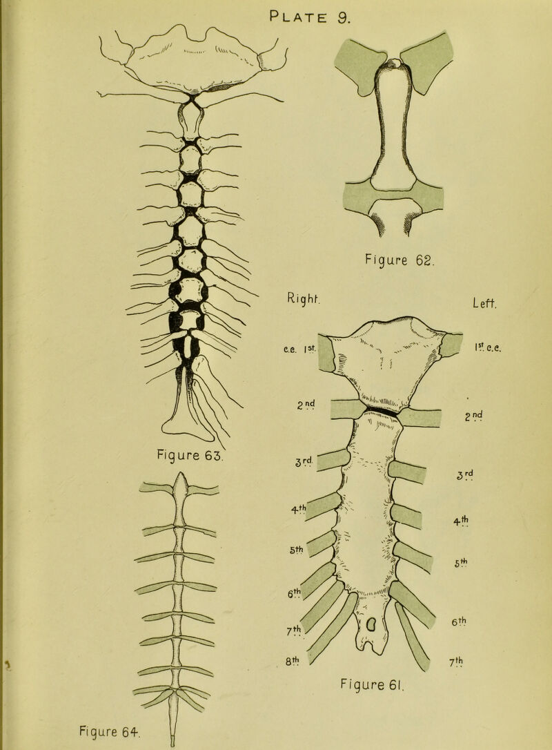 Left. Figure 63 Figure 62. Figure 61.