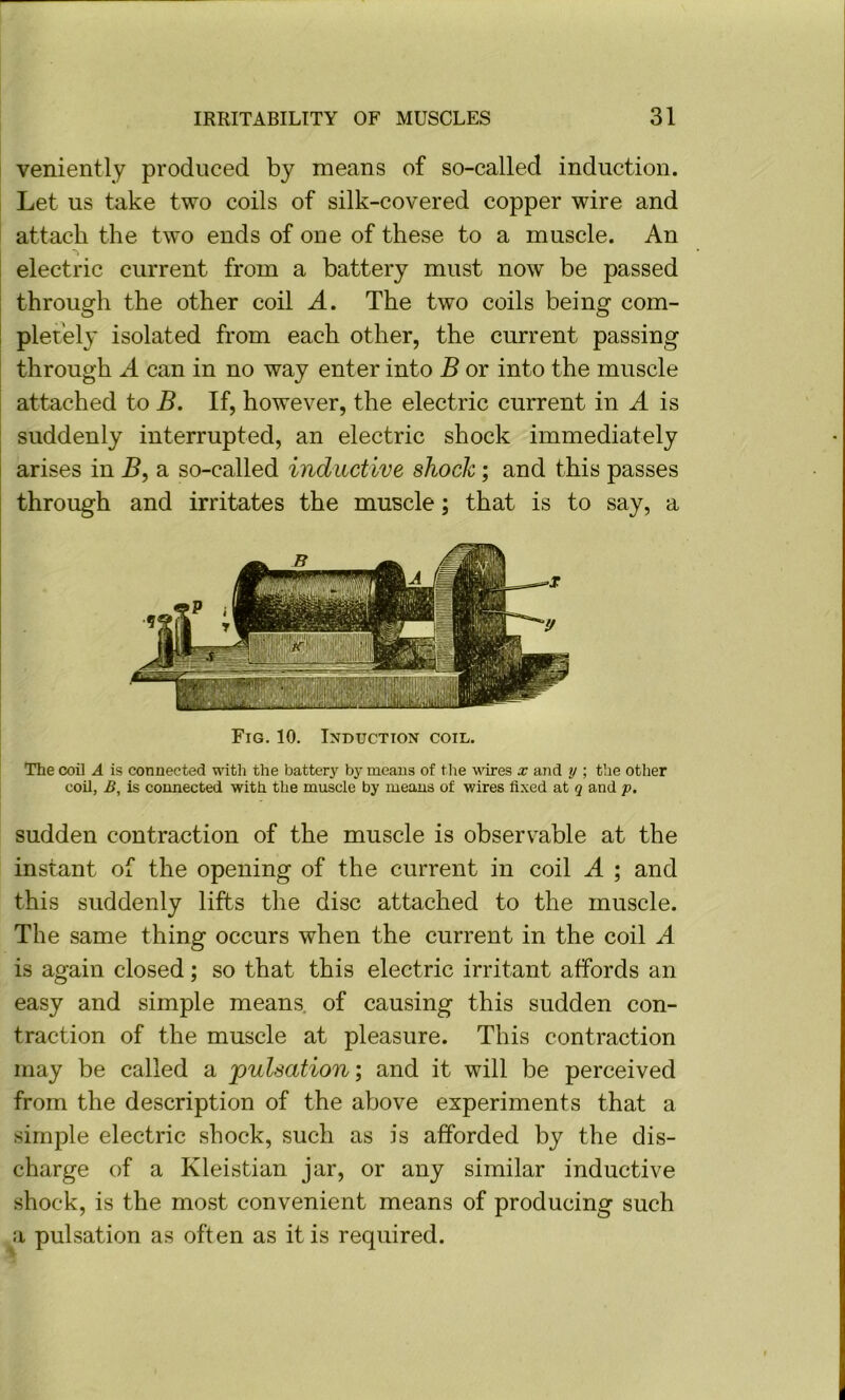 veniently produced by means of so-called induction. Let us take two coils of silk-covered copper wire and attach the two ends of one of these to a muscle. An electric current from a battery must now be passed through the other coil A. The two coils being com- pletely isolated from each other, the current passing through A can in no way enter into B or into the muscle attached to B. If, however, the electric current in A is suddenly interrupted, an electric shock immediately arises in B, a so-called inductive shock; and this passes through and irritates the muscle; that is to say, a Fig. 10. Induction coil. The coil A is connected with the battery by means of tlie wires x and y ; the other coil, B, is connected with the muscle by means of wires fixed at q and p. sudden contraction of the muscle is observable at the instant of the opening of the current in coil A ; and this suddenly lifts the disc attached to the muscle. The same thing occurs when the current in the coil A is again closed; so that this electric irritant affords an easy and simple means, of causing this sudden con- traction of the muscle at pleasure. This contraction may be called a pulsation; and it will be perceived from the description of the above experiments that a simple electric shock, such as is afforded by the dis- charge of a Kleistian jar, or any similar inductive shock, is the most convenient means of producing such a pulsation as often as it is required.