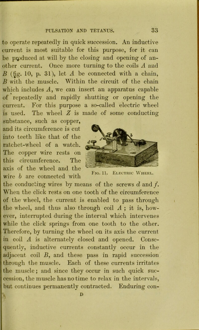 to operate repeatedly in quick succession. An inductive current is most suitable for this purpose, for it can be produced at will by the closing and opening of an- other cm'rent. Once more turning to the coils A and B (fig. 10, p. 31), let A be connected with a chain, B with the muscle. Within the circiut of the chain which includes A, we can insert an apparatus capable of repeatedly and rapidly shutting or opening the current. For this purpose a so-called electric wheel is used. The wdieel Z is made of some conducting substance, such as copper, and its circumference is cut into teeth like that of the ratchet-wheel of a watch. The copper wire rests on this circumference. The axis of the wheel and the ^ Fig. 11. Electric AVheel. Wire b are connected with the conducting wires by means of the screws d and /. \Mien the click rests on one tooth of the circumference of the w’heel, the current is enabled to pass through the wh^el, and thus also through coil A ; it is, how- ever, interrupted during the interval which intervenes while the click springs from one tooth to the other. Therefore, by turning the wheel on its axis the current in coil A is alternately closed and opened. Conse- quently, inductive currents constantly occur in the adjacent coil B, and these pass in rapid succession through the muscle. Each of these currents irritates the muscle; and since they occur in such quick suc- cession, the muscle has no time to relax in the intervals, but continues permanently contracted. Enduring con- D