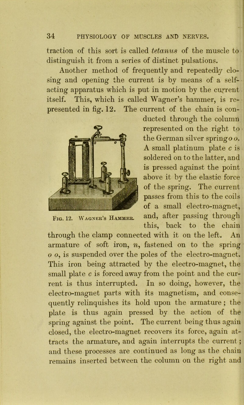 traction of this sort is called tetanus of the muscle to • distinguish it from a series of distinct pulsations. Another method of frequently and repeatedly clo- sing and opening the current is by means of a self- acting apparatus which is put in motion by the current itself. This, which is called Wagner’s hammer, is re- presented in fig. 12. The current of the chain is con- ducted through the column represented on the right to ^ the German silver spring o o. A small platinum plate c is soldered on to the latter, and is pressed against the point above it by the elastic force of the spring. The current passes from this to the coils of a small electro-magnet. Fig. 12. Wagner’s Hammer. and, after passing through this, back to the chain through the clamp connected with it on the left. An armature of soft iron, n, fastened on to the spring o 0, is suspended over the poles of the electro-magnet. This iron being attracted by the electro-magnet, the small plate c is forced away fi'om i he point and the cur- rent is thus interrupted. In so doing, however, the electro-magnet parts with its magnetism, and conse- quently relinquishes its hold upon the armature; the plate is thus again pressed by the action of the spring against the point. The current being thus again closed, the electro-magnet recovers its force, again at- tracts the armature, and again interrupts the current; and these processes are continued as long as the chain remains inserted between the column on the right and