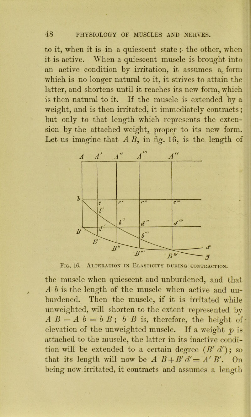 to it, when it is in a quiescent state ; the other, when it is active. When a quiescent muscle is brought into an active condition by irritation, it assumes a,^ form which is no longer natural to it, it strives to attain the latter, and shortens until it reaches its new form, which is then natural to it. If the muscle is extended by a weight, and is then irritated, it immediately contracts; but only to that length which represents the exten- sion by the attached weight, proper to its new form. Let us imagine that AB, in fig. 16, is the length of Fig. 16. Alteration in El.asticity during contraction. the muscle when quiescent and unburdened, and that A 6 is the length of the muscle when active and un- burdened. Then the muscle, if it is irritated while unweighted, will shorten to the extent represented by AB—Ah = hB\ 6 5 is, therefore, the height of' elevation of the unweighted muscle. If a weight p is attached to the muscle, the latter in its inactive condi- tion will be extended to a certain degree (B'd'); so that its length will now be A B + B' d'= A' B'. On being now irritated, it contracts and assumes a length