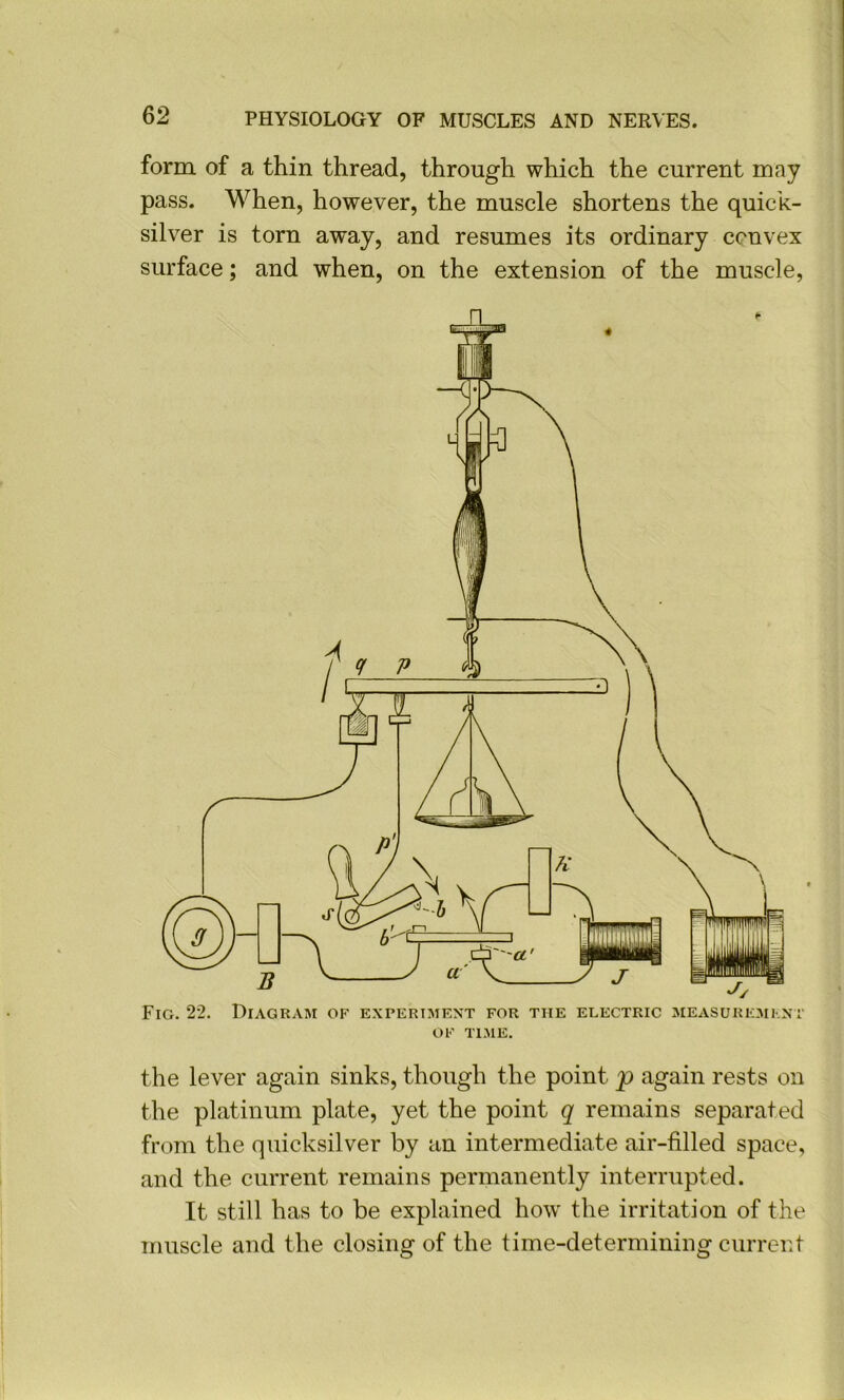 form of a thin thread, through which the current may pass. When, however, the muscle shortens the quick- silver is torn away, and resumes its ordinary convex surface; and when, on the extension of the muscle. OK Tl.ME. the lever again sinks, though the point p again rests on the platinum plate, yet the point q remains separated from the quicksilver by an intermediate air-filled space, and the current remains permanently interrupted. It still has to be explained how the irritation of the muscle and the closing of the time-determining current