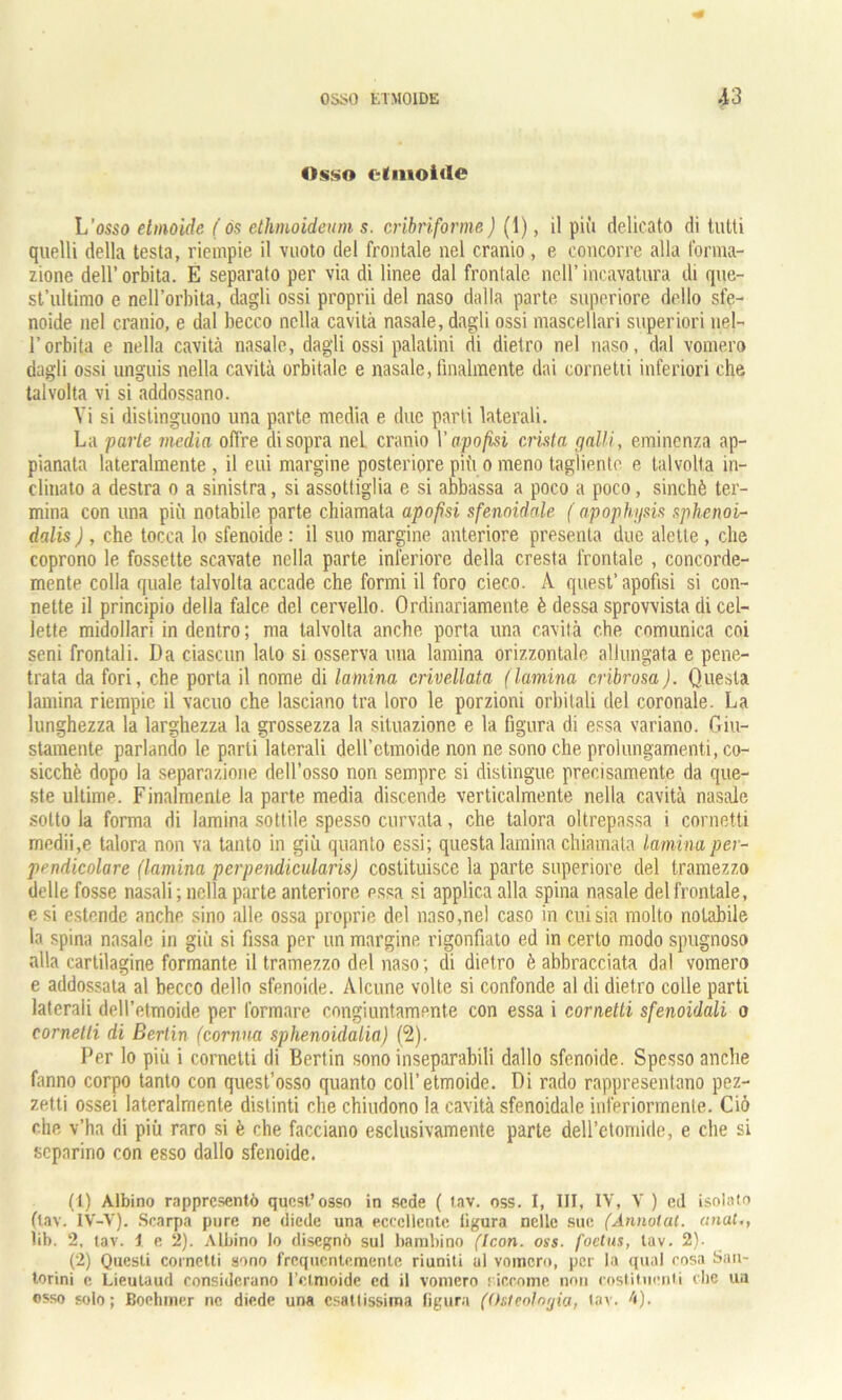 Osso etmoide L’osso etmoide (ós ethmoideum s. cribriforme) (1), il più delicato di tutti quelli della testa, riempie il vuoto del frontale nel cranio, e concorre alla forma- zione dell’ orbita. E separato per via di linee dal frontale nell’ incavatura di que- st’ultimo e nell’orbita, dagli ossi proprii del naso dalla parte superiore dello sfe- noide nel cranio, e dal becco nella cavità nasale, dagli ossi mascellari superiori nel- l’orbita e nella cavità nasale, dagli ossi palatini di dietro nel naso, dal vomero dagli ossi unguis nella cavità orbitale e nasale, finalmente dai cornetti inferiori che talvolta vi si addossano. Vi si distinguono una parte media e due parti laterali. La parie media offre disopra neL cranio 1 ’apofisi cristo galli, eminenza ap- pianata lateralmente , il cui margine posteriore più o meno tagliente e talvolta in- clinato a destra o a sinistra, si assottiglia e si abbassa a poco a poco, sinché ter- mina con una più notabile parte chiamata apofisi sfenoidale ( apophysis sphenoi- dalis ) , che tocca lo sfenoide : il suo margine anteriore presenta due alette , che coprono le fossette scavate nella parte inferiore della cresta frontale , concorde- mente colla quale talvolta accade che formi il foro cieco. A quest’apofisi si con- nette il principio della falce del cervello. Ordinariamente è dessa sprovvista di cel- lette midollari in dentro ; ma talvolta anche porta una cavità che comunica coi seni frontali. Da ciascun lato si osserva una lamina orizzontale allungata e pene- trata da fori, che porta il nome di lamina crivellata (lamina cribrosa). Questa lamina riempie il vacuo che lasciano tra loro le porzioni orbitali del coronale. La lunghezza la larghezza la grossezza la situazione e la figura di essa variano. Giu- stamente parlando le parti laterali dell’etmoide non ne sono che prolungamenti, co- sicché dopo la separazione dell’osso non sempre si distingue precisamente da que- ste ultime. Finalmente la parte media discende verticalmente nella cavità nasale sotto la forma di lamina sottile spesso curvata, che talora oltrepassa i cornetti medii,e talora non va tanto in giù quanto essi; questa lamina chiamala lamina per- pendicolare (lamina perpendicularis) costituisce la parte superiore del tramezzo delle fosse nasali; nella parte anteriore pssa si applica alla spina nasale del frontale, e si estende anche sino alle ossa proprie del naso,nel caso in cui sia molto notabile la spina nasale in giù si fissa per un margine rigonfiato ed in certo modo spugnoso alla cartilagine formante il tramezzo del naso ; di dietro è abbracciata dal vomero e addossata al becco dello sfenoide. Alcune volte si confonde al di dietro colle parti laterali dell’etmoide per formare congiuntamente con essa i cornetti sfenoidali o cornetti di Berlin (cortina sphenoidalia) (2). Per lo più i cornetti di Bertin sono inseparabili dallo sfenoide. Spesso anche fanno corpo tanto con quest’osso quanto coll’etmoide. Di rado rappresentano pez- zetti ossei lateralmente distinti che chiudono la cavità sfenoidale inferiormente. Ciò che v’ha di più raro si è che facciano esclusivamente parte dell’etomide, e che si separino con esso dallo sfenoide. (1) Albino rappresentò quest’osso in sede ( tav. oss. I, IN, IV, V ) ed isolalo ftav. 1V-V). Scarpa pure ne diede una eccellente figura nelle sue (Annotai, anut., lib. 2, tav. 1 e 2). Albino lo disegnò sul bambino ([con. oss. foctus, tav. 2). (2) Questi cornetti sono frequentemente riuniti al vomero, per la qual cosa Sna- torini c Lieutaud considerano l’etmoide ed il vomero siccome non costituenti die ua osso solo; Boehmer ne diede una esattissima figura (Osteologia, tav. 4).