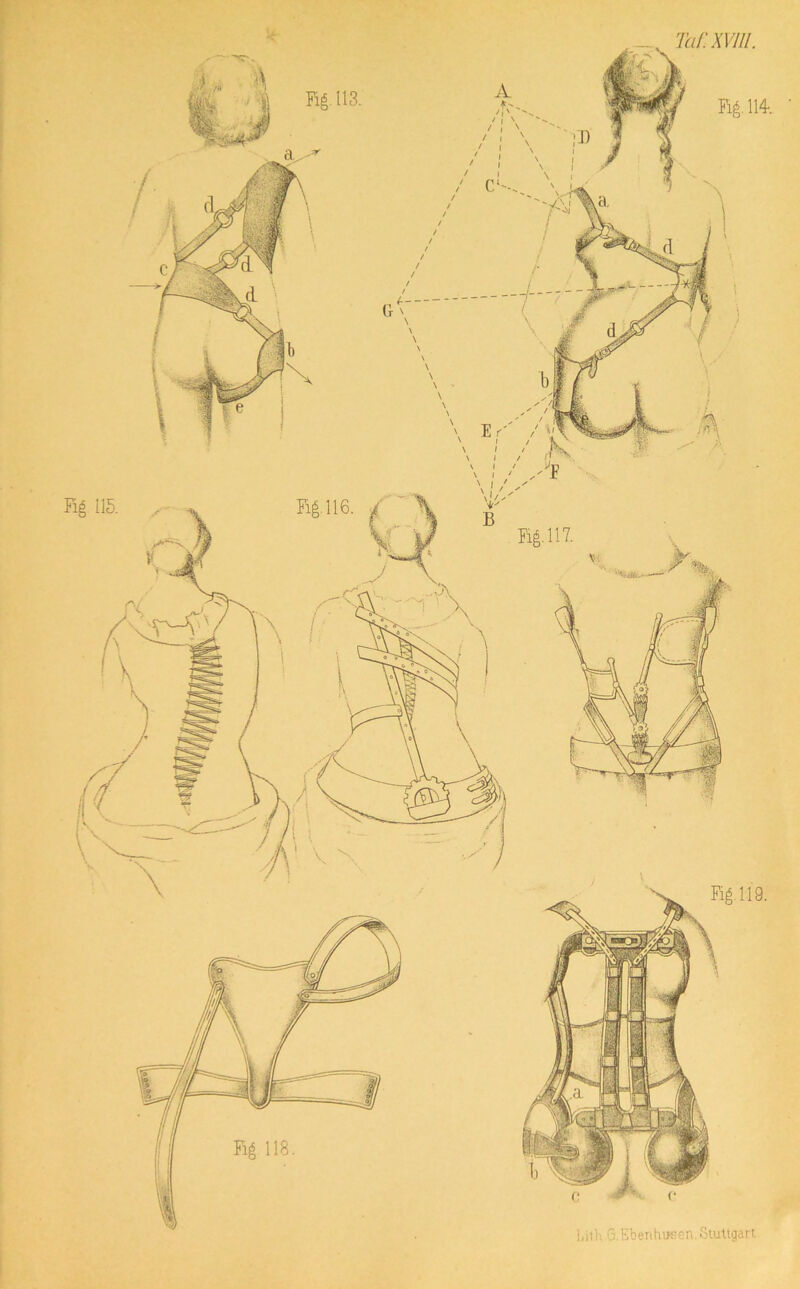 l \ l I * TaCXVIIl. l.ith G.Eberihu«en. Stuttgart