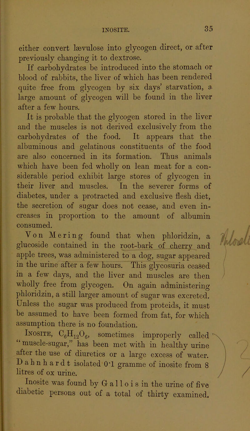either convert Isevulose into glycogen direct, or after previously changing it to dextrose. If carbohydrates be introduced into the stomach or blood of rabbits, the liver of which has been rendered quite free from glycogen by six days’ starvation, a large amount of glycogen will be found in the liver after a few hours. It is probable that the glycogen stored in the liver and the muscles is not derived exclusively from the carbohydrates of the food. It appears that the albuminous and gelatinous constituents of the food are also concerned in its formation. Thus animals which have been fed wholly on lean meat for a con- siderable period exhibit large stores of glycogen in their liver and muscles. In the severer forms of diabetes, under a protracted and exclusive flesh diet, the secretion of sugar does not cease, and even in- creases in proportion to the amount of albumin consumed. Von Mering found that when phloridzin, a glucoside contained in the root-bark of cherry and apple trees, was administered to a dog, sugar appeared in the urine after a few hours. This glycosuria ceased in a few days, and the liver and muscles are then wholly free from glycogen. On again administering phloridzin, a still larger amount of sugar was excreted. Unless the sugar was produced from proteids, it must be assumed to have been formed from fat, for which assumption there is no foundation. IxosiTE, CgHjgClej sometimes improperly called “ muscle-sugar,” has been met with in healthy urine after the use of diuretics or a large excess of water. Dahnhardt isolated OT gramme of inosite from 8 litres of ox urine. Inosite was found by G a 11 o i s in the urine of five diabetic persons out of a total of thirty examined.