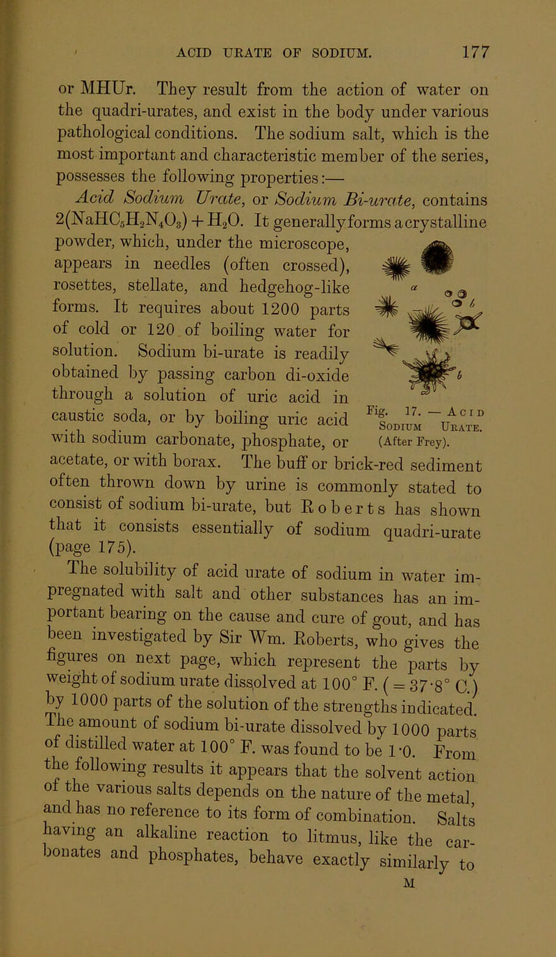 Fig. 17. — Acid Sodium Ukate. (After Frey). or MHUr. They result from the action of water on the quadri-urates, and exist in the body under various pathological conditions. The sodium salt, which is the most important and characteristic member of the series, possesses the following properties:— Acid Sodium Urate, or Sodium Bi-urate, contains 2(NaHC5H2N403) + H2O. It generally forms acrystalline powder, which, under the microscope, appears in needles (often crossed), rosettes, stellate, and hedgehog-like forms. It requires about 1200 parts of cold or 120 of boiling water for solution. Sodium bi-urate is readily obtained by passing carbon di-oxide through a solution of uric acid in caustic soda, or by boiling uric acid with sodium carbonate, phosphate, or acetate, or with borax. The buff or brick-red sediment often thrown down by urine is commonly stated to consist of sodium bi-urate, but E o b e r t s has shown that it consists essentially of sodium quadri-urate (page 175). The solubility of acid urate of sodium in water im- pregnated wffh salt and other substances has an im- portant bearing on the cause and cure of gout, and has been investigated by Sir Wm. Eoberts, who gives the figures on next page, which represent the parts by weight of sodium urate diss,olved at 100°F. ( = 37-8°C) by 1000 parts of the solution of the strengths indicated. The amount of sodium bi-urate dissolved by 1000 parts of distilled water at 100° F. was found to be 1 ’0. From the following results it appears that the solvent action of the various salts depends on the nature of the metal and has no reference to its form of combination. Salts having an alkaline reaction to litmus, like the car- bonates and phosphates, behave exactly similarly to M