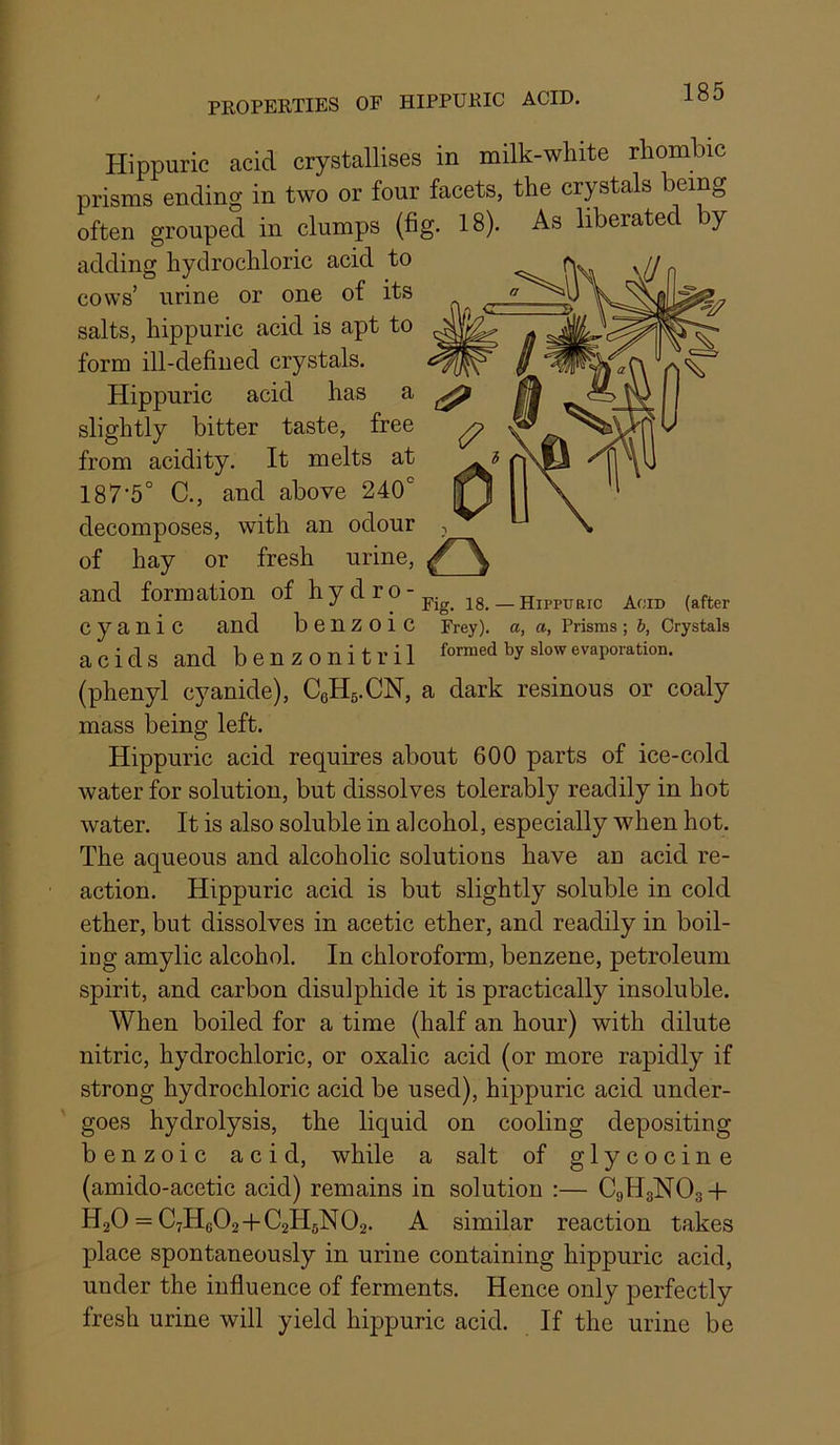 Hippuric acid crystallises in milk-white rhombic prisms ending in two or four facets, the crystals being often grouped in clumps (fig. 18). As liberated by adding hydrochloric acid to cows’ urine or one of its salts, hippuric acid is apt to form ill-defined crystals. Hippuric acid has a slightly bitter taste, free from acidity. It melts at 187’5° C., and above 240'’ decomposes, with an odour of hay or fresh urine, O and formation of hy d ro- cyanic and benzoic Frey), a, a, Prisms; b, Crystals acids and benzonitril formed by slow evaporation. (phenyl cyanide), CeHg.CN, a dark resinous or coaly mass being left. Hippuric acid requires about 600 parts of ice-cold water for solution, but dissolves tolerably readily in hot water. It is also soluble in alcohol, especially when hot. The aqueous and alcoholic solutions have an acid re- action. Hippuric acid is but slightly soluble in cold ether, but dissolves in acetic ether, and readily in boil- ing amylic alcohol. In chloroform, benzene, petroleum spirit, and carbon disulphide it is practically insoluble. When boiled for a time (half an hour) with dilute nitric, hydrochloric, or oxalic acid (or more rapidly if strong hydrochloric acid be used), hippuric acid under- goes hydrolysis, the liquid on cooling depositing benzoic acid, while a salt of glycocine (amido-acetic acid) remains in solution :— C9H3NO3-I- HgO = C7Hg02-l-C2H5N02. A similar reaction takes place spontaneously in urine containing hippuric acid, under the influence of ferments. Hence only perfectly fresh urine will yield hippuric acid. If the urine be
