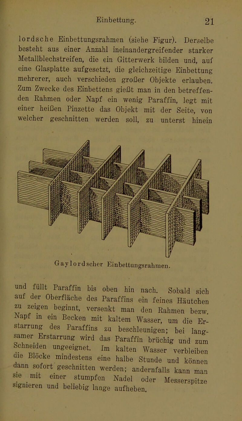 lordsche Einbettungsrahmen (siehe Figur). Derselbe besteht aus einer Anzahl ineinandergreifender starker Metallblechstreifen, die ein Gitterwerk bilden und, auf eine Glasplatte aufgesetzt, die gleichzeitige Einbettung mehrerer, auch verschieden großer Objekte erlauben. Zum Zwecke des Einbettens gießt man in den betreffen- den Rahmen oder Napf ein wenig Paraffin, legt mit einer heißen Pinzette das Objekt mit der Seite, von welcher geschnitten werden soll, zu unterst hinein Gaylord scher Einbettungsrahmeu. und füllt Paraffin bis oben hin nach. Sobald sich auf der Oberfläche des Paraffins ein feines Häutchen zu zeipn beginnt, versenkt man den Rahmen bezw Napf m ein Becken mit kaltem Wasser, um die Er- starrung des Paraffins zu beschleunigen; bei lang- samer Erstarrung wird das Paraffin brüchig und zum Schneiden nngecignet. Im kalten Wasser verbleiben die Blocke mindestens eine halbe Stunde und können dann sofort geschnitten werden; andernfalls kann man sie mit einer stumpfen Nadel oder Messerspitze signieren und beliebig lange aufheben.