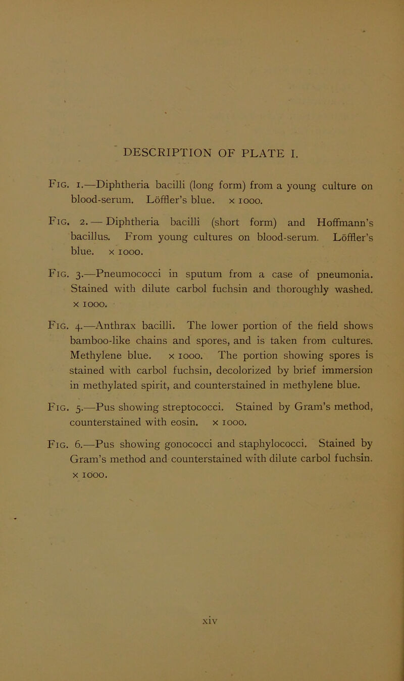 DESCRIPTION OF PLATE I. Fig. I.—Diphtheria bacilli (long form) from a young culture on blood-serum. Loffler’s blue, x looo. Fig. 2. — Diphtheria bacilli (short form) and Hoffmann’s bacillus. From young cultures on blood-serum. Loffler’s blue. X looo. Fig. 3.—Pneumococci in sputum from a case of pneumonia. Stained with dilute carbol fuchsin and thoroughly washed. X 1000. Fig. 4.—Anthrax bacilli. The lower portion of the field shows bamboo-like chains and spores, and is taken from cultures. Methylene blue. x 1000. The portion showing spores is stained with carbol fuchsin, decolorized by brief immersion in methylated spirit, and counterstained in methylene blue. Fig. 5.—Pus showing streptococci. Stained by Gram’s method, counterstained with eosin. x 1000. Fig. 6.—Pus showing gonococci and staphylococci. Stained by Gram’s method and counterstained with dilute carbol fuchsin. X1000. xiv I