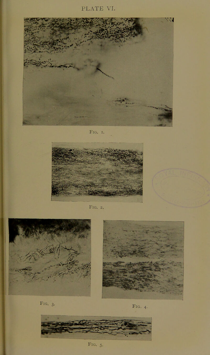 Fig. I. Fici. 5