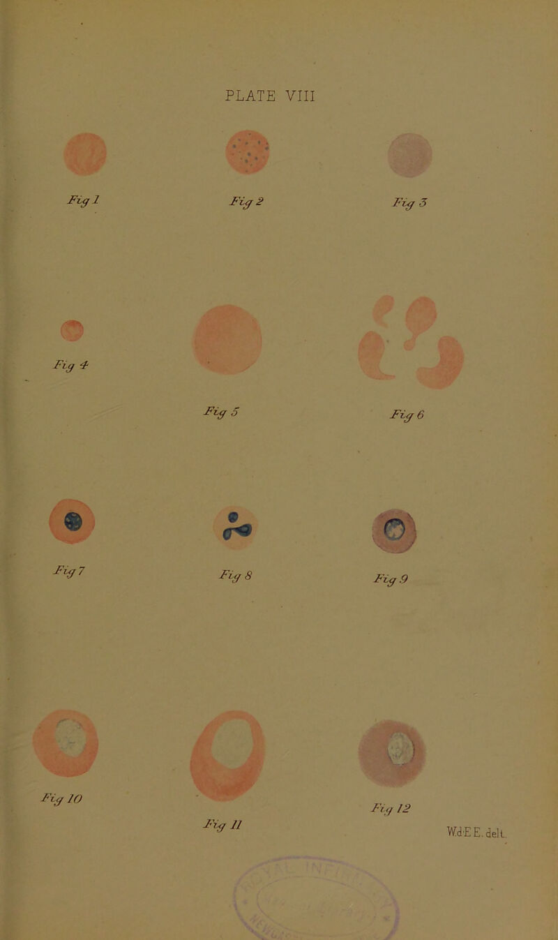 % Figl Fig 2 Fig 5 9 Fi g 4 Fig 5 Fig 6 Fig 7 Fig.9 Fig JO ;ii Fig J1 Fig 12